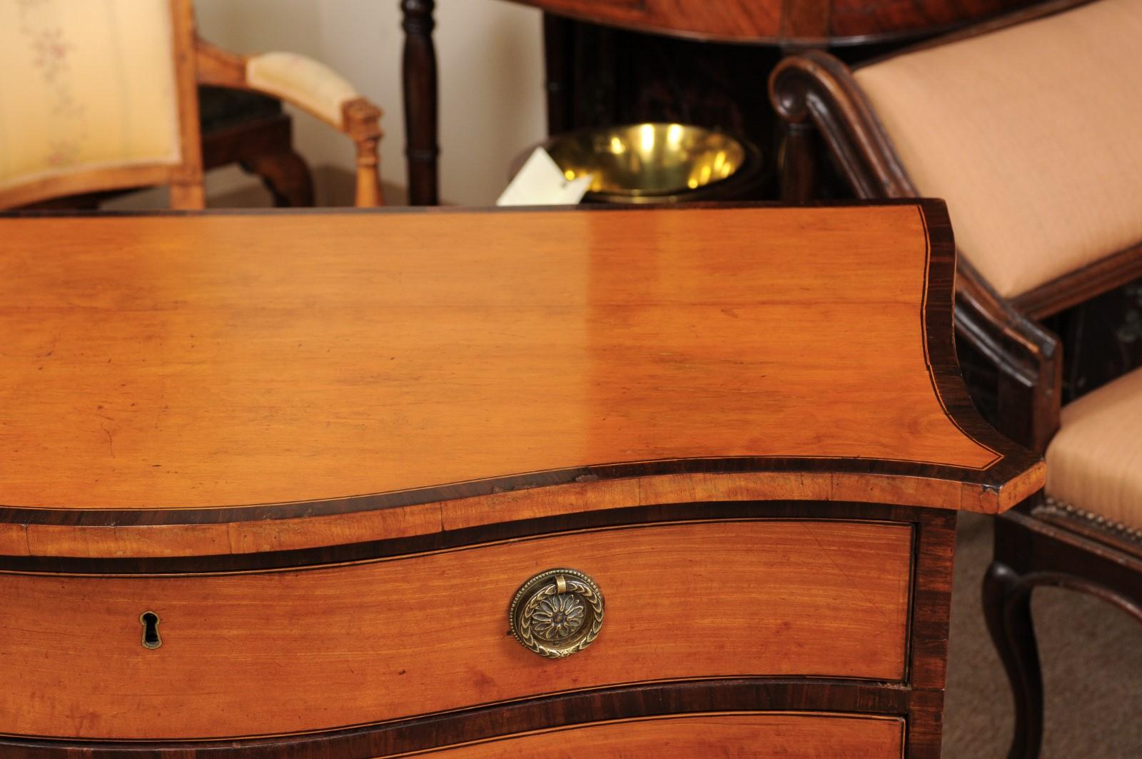 Early 19th Century English George III Satinwood Chest with 4 Drawers 2