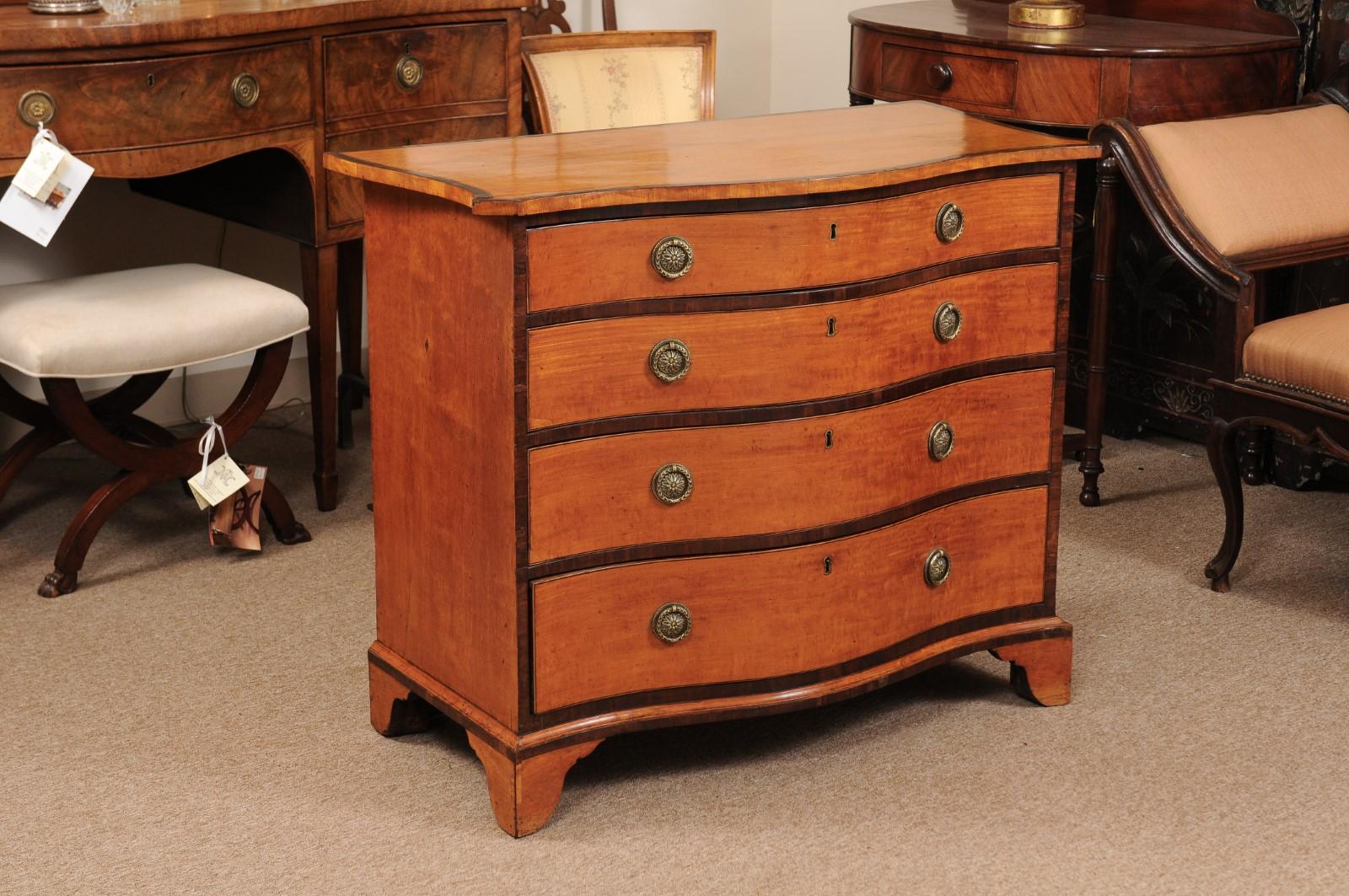 Early 19th Century English George III Satinwood Chest with 4 Drawers 3