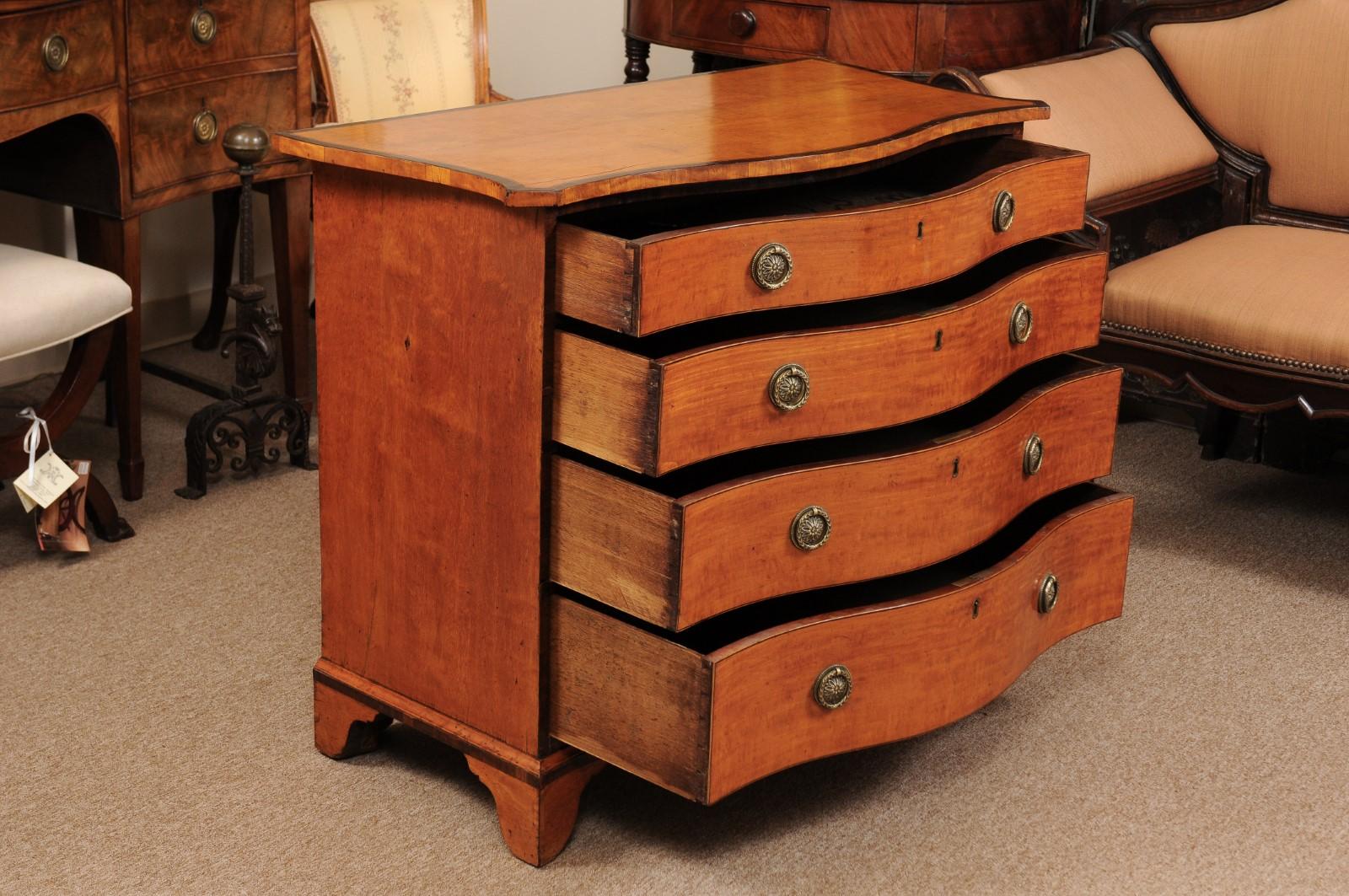 Early 19th Century English George III Satinwood Chest with 4 Drawers 4