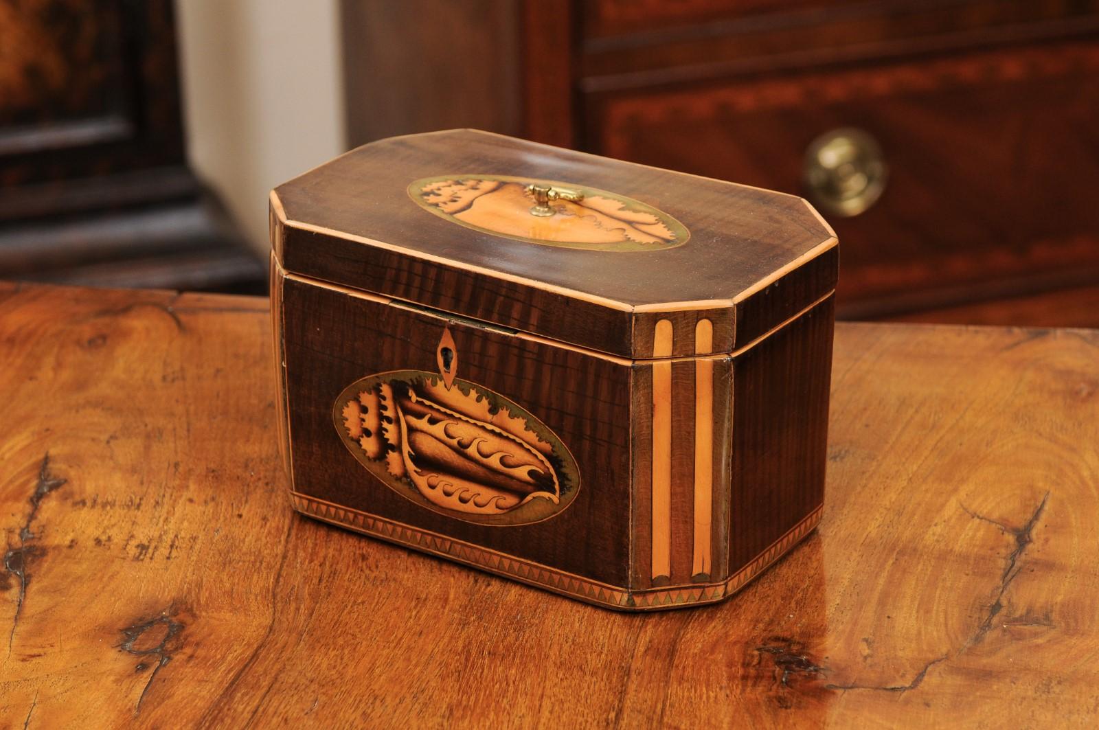 Early 19th Century English George III Tea Caddy with Shell Inlay For Sale 7