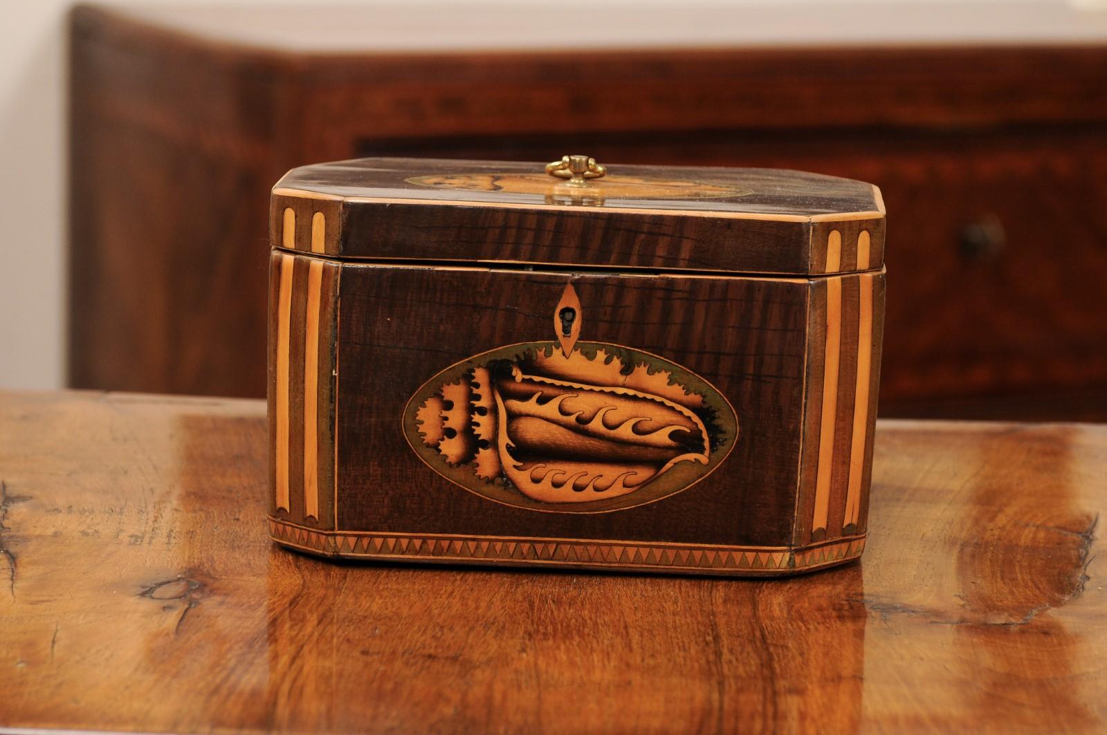 Early 19th Century English George III Tea Caddy with Shell Inlay For Sale 8