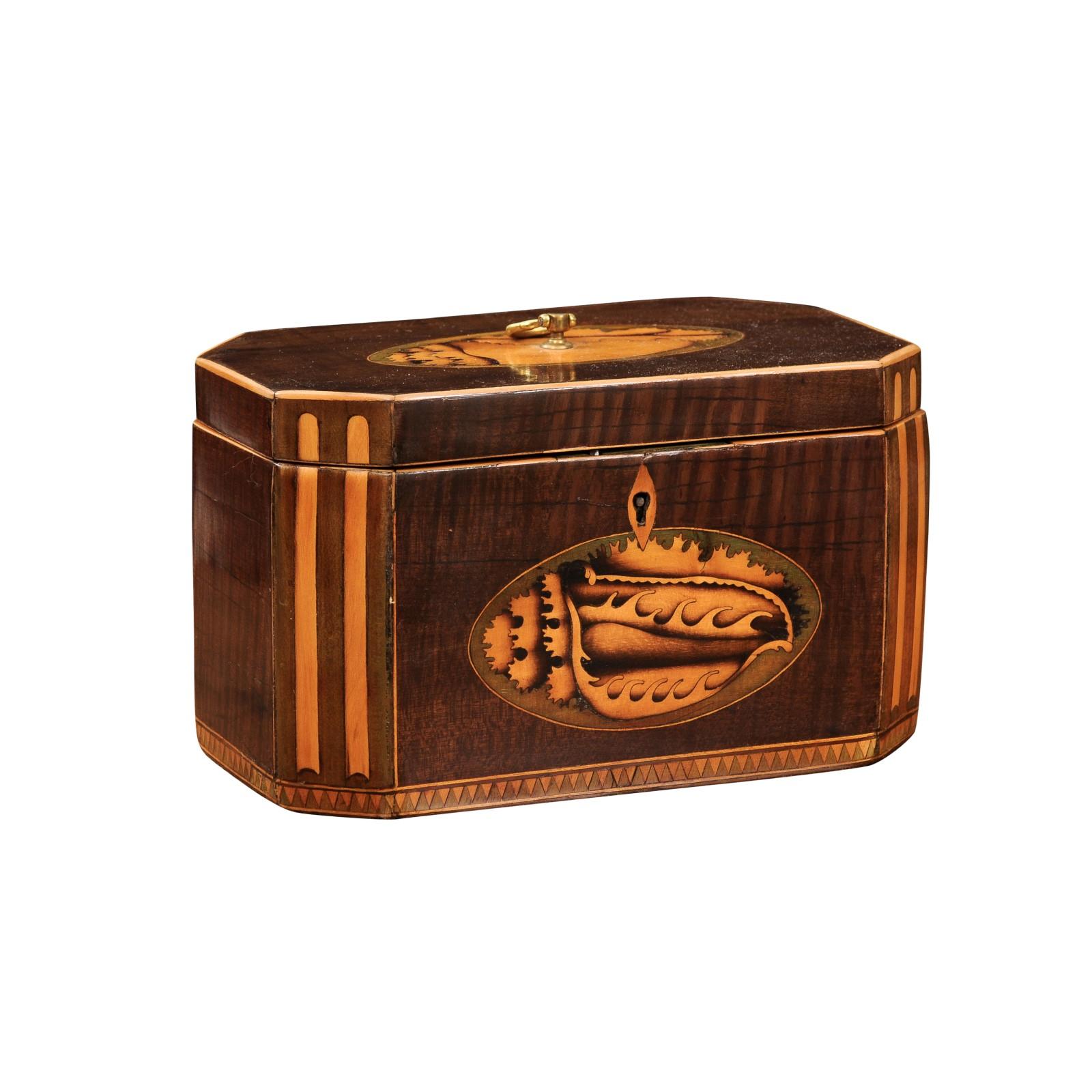 Early 19th Century English George III Tea Caddy with Shell Inlay In Good Condition For Sale In Atlanta, GA