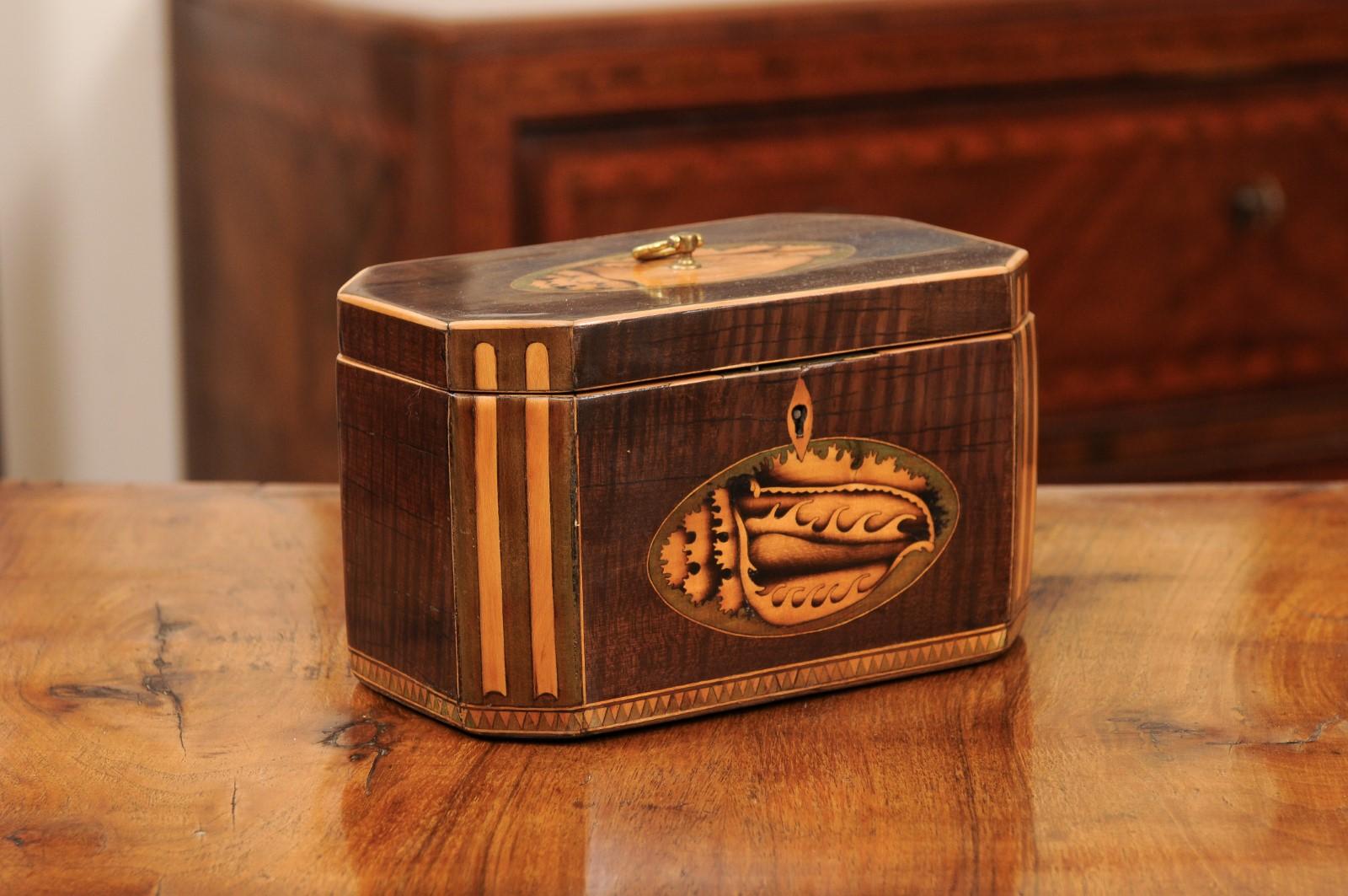 Wood Early 19th Century English George III Tea Caddy with Shell Inlay For Sale