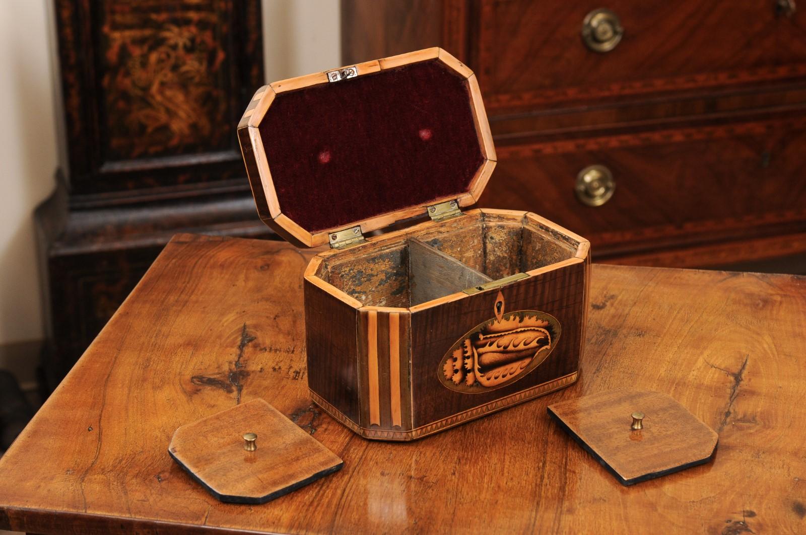 Englische Teedose mit Muschelintarsien aus dem frühen 19. (Holz) im Angebot