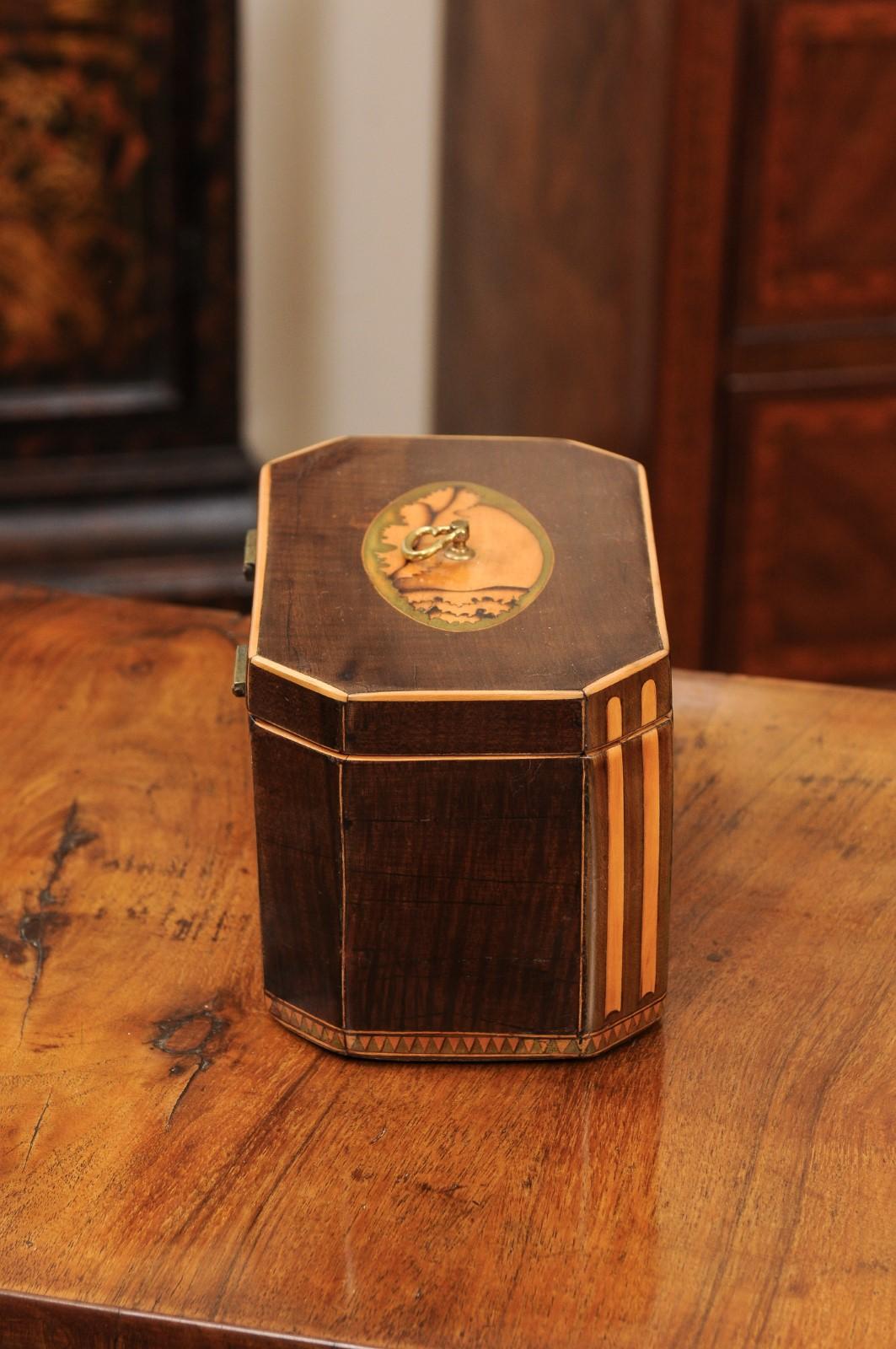 Early 19th Century English George III Tea Caddy with Shell Inlay For Sale 3
