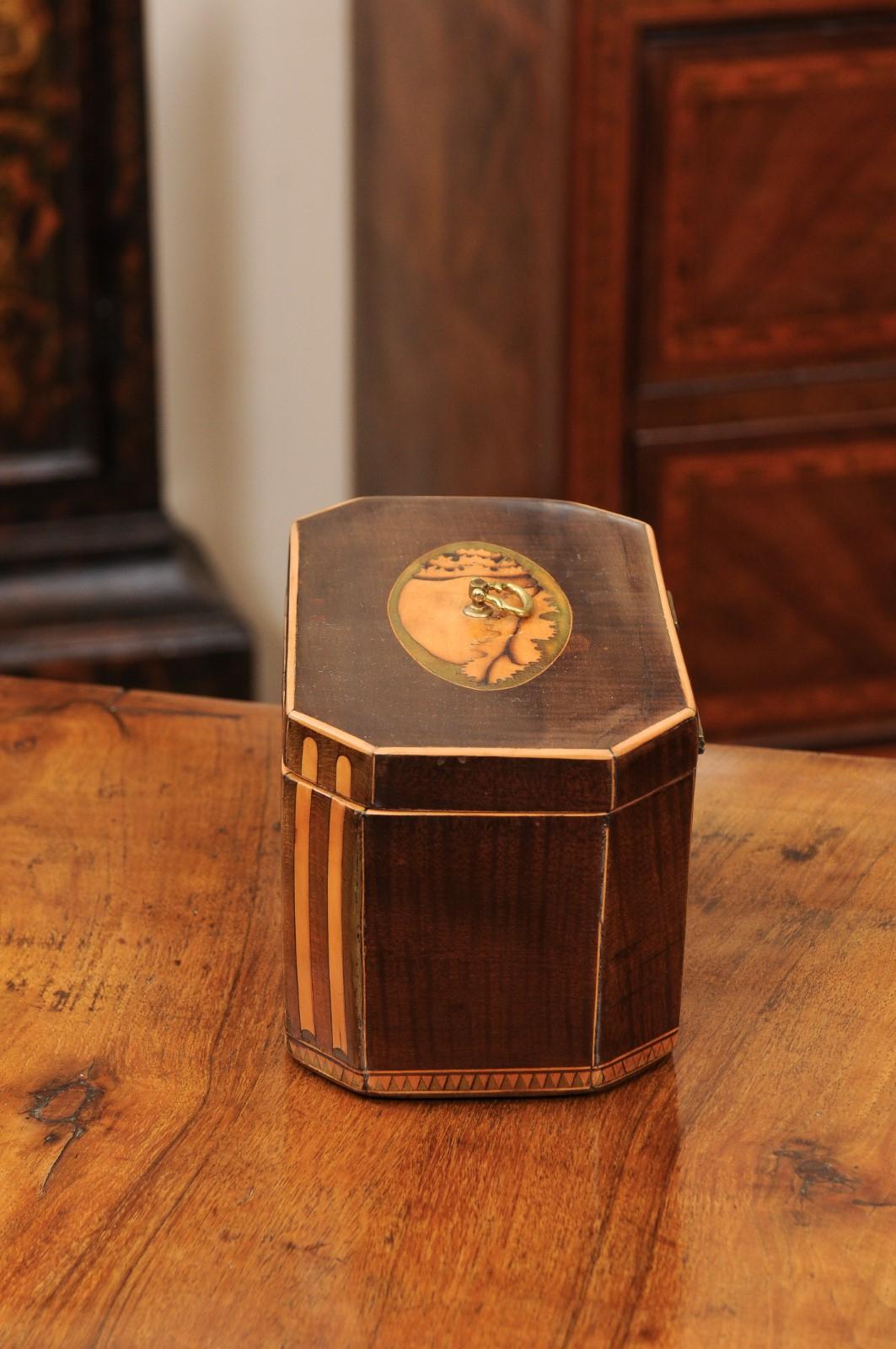 Early 19th Century English George III Tea Caddy with Shell Inlay For Sale 6