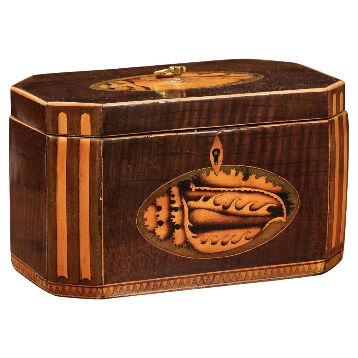 Early 19th Century English George III Tea Caddy with Shell Inlay For Sale
