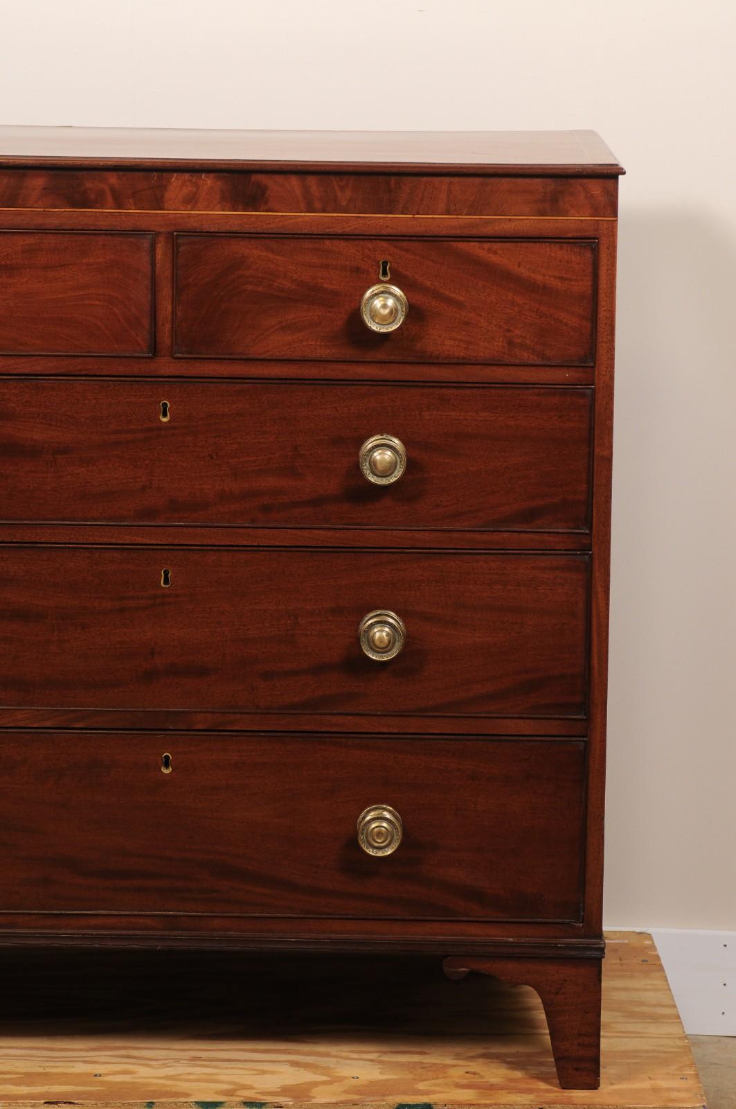 Early 19th Century English Georgian Chest of Drawers in Flame Mahogany For Sale 7