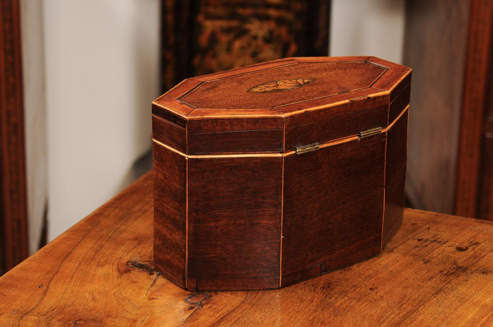Early 19th Century English Large Octagonal George III Tea Caddy with Shell  5