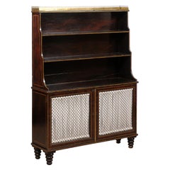 Early 19th Century English Regency Faux Grain Painted Chiffoniere / Bookcase