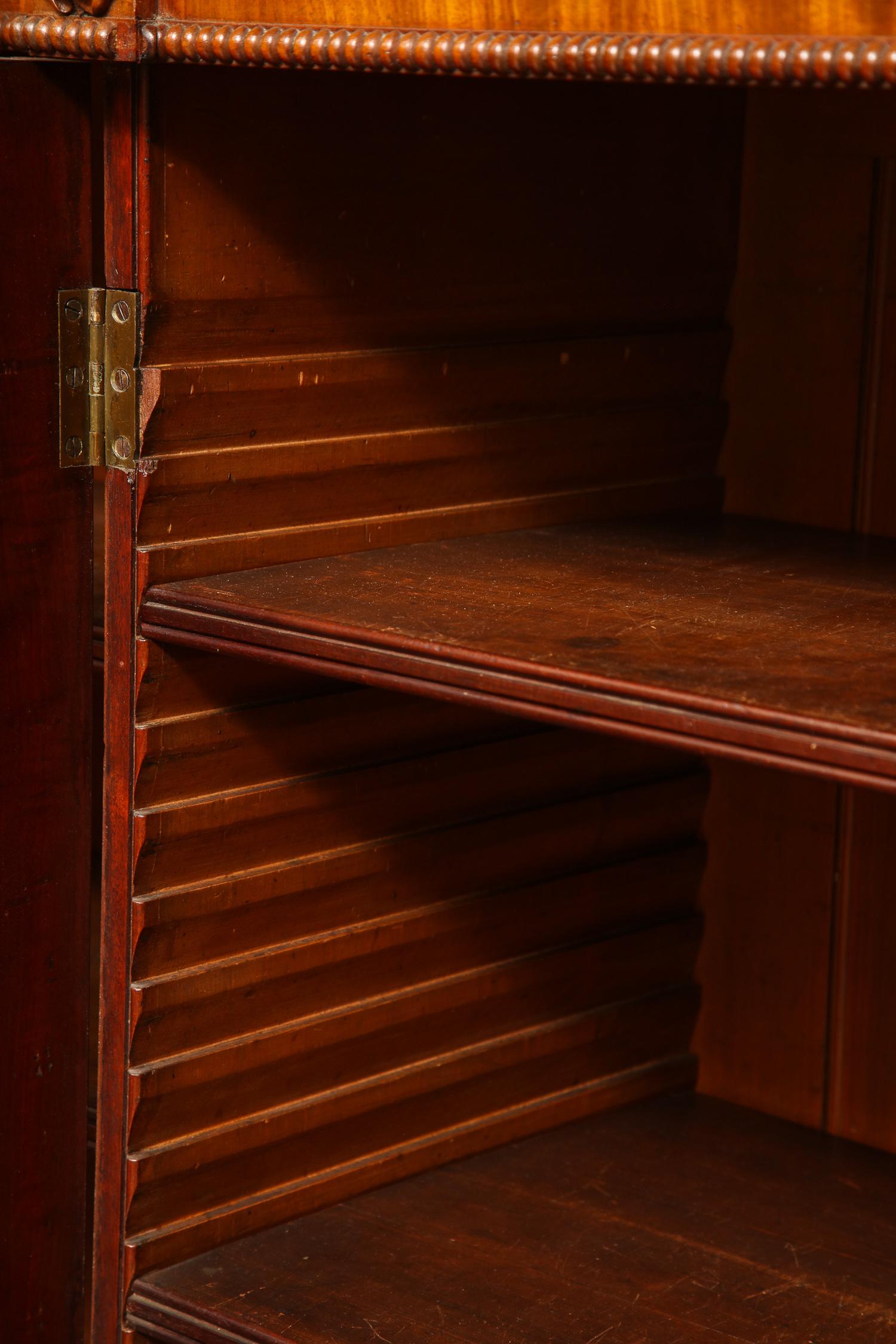 Early 19th Century English Regency Mahogany Cabinet or Bookcase For Sale 8