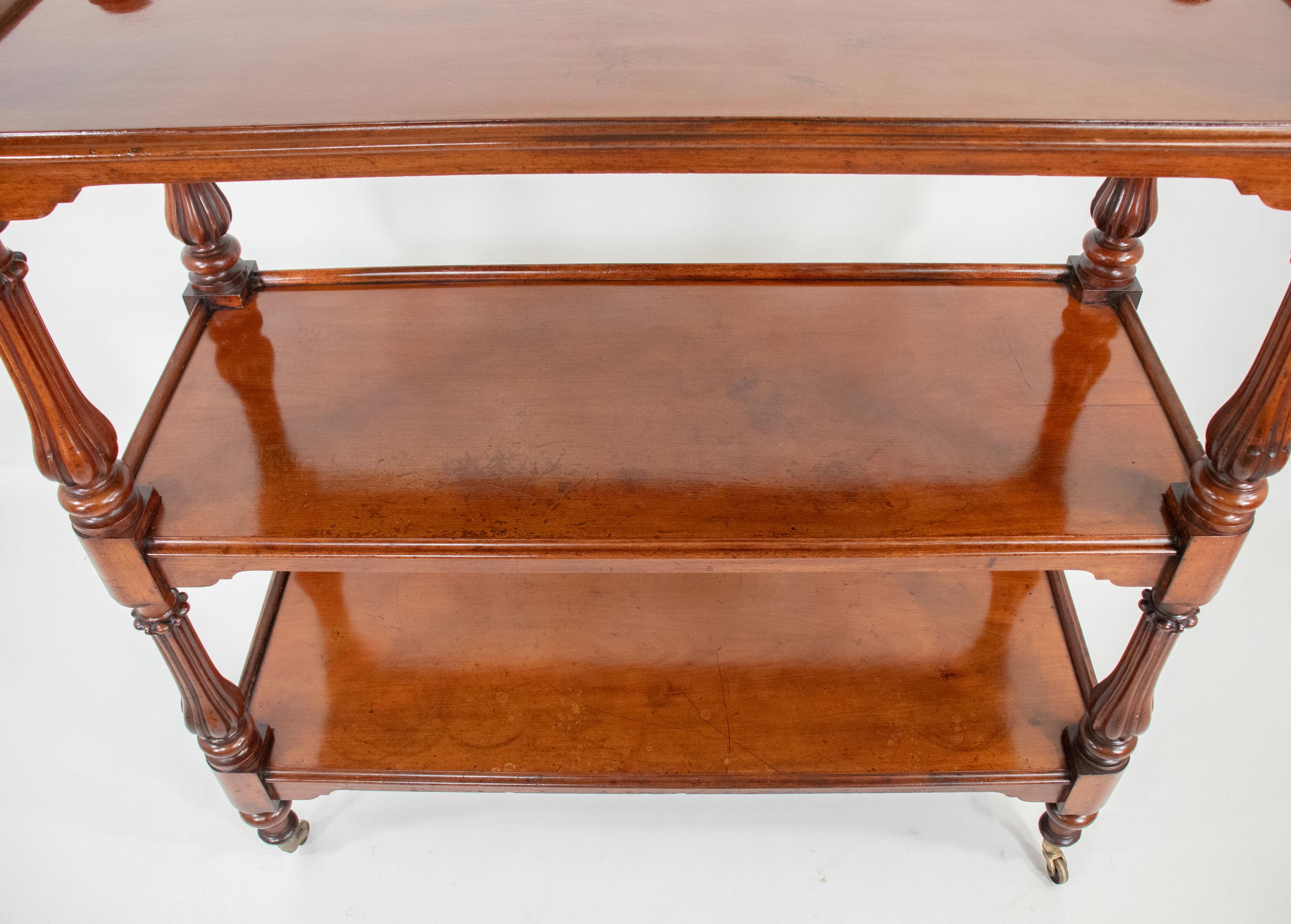 Early 19th Century English Regency Mahogany Serving Table Dumbwaiter Server 3