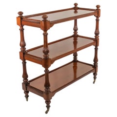 Early 19th Century English Regency Mahogany Serving Table Dumbwaiter Server