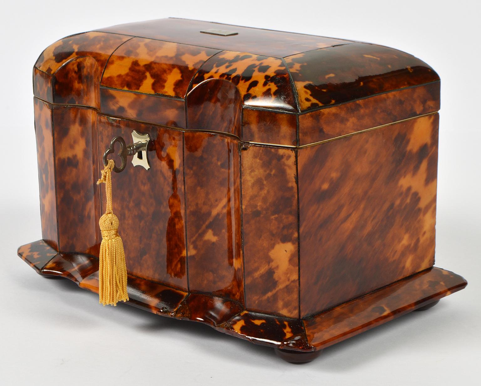 Early 19th Century English Regency Tortoise Shell Shaped Front Tea Caddy 1