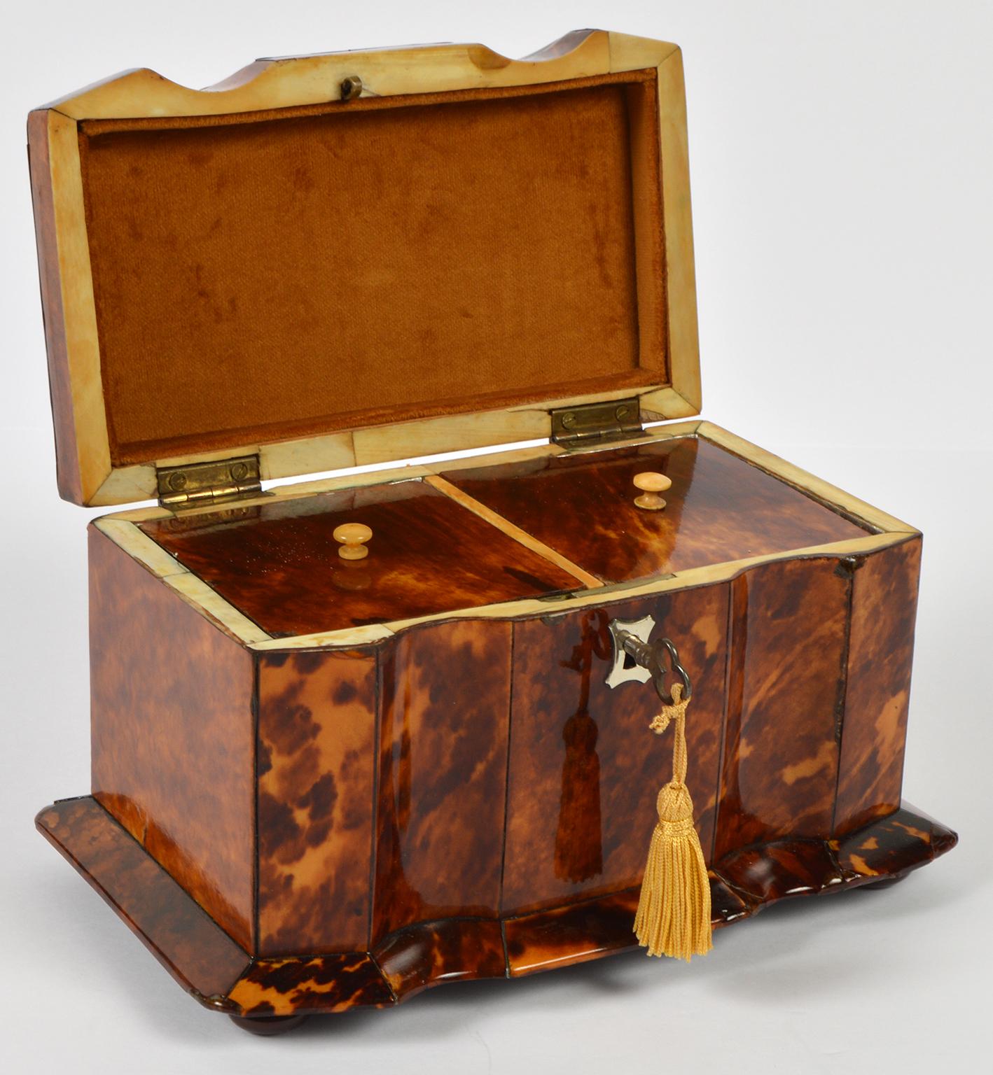 Early 19th Century English Regency Tortoise Shell Shaped Front Tea Caddy 3