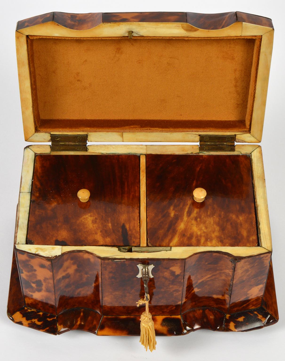 Early 19th Century English Regency Tortoise Shell Shaped Front Tea Caddy 4