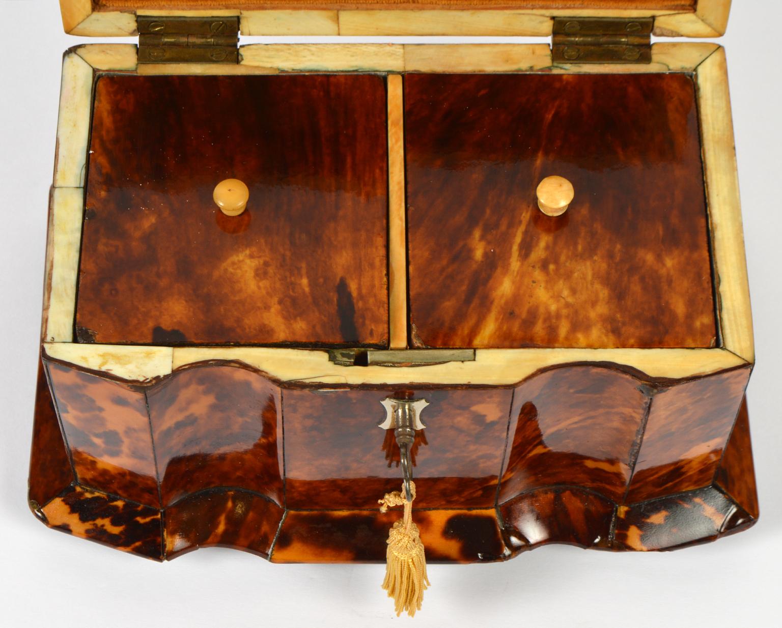 Early 19th Century English Regency Tortoise Shell Shaped Front Tea Caddy 5