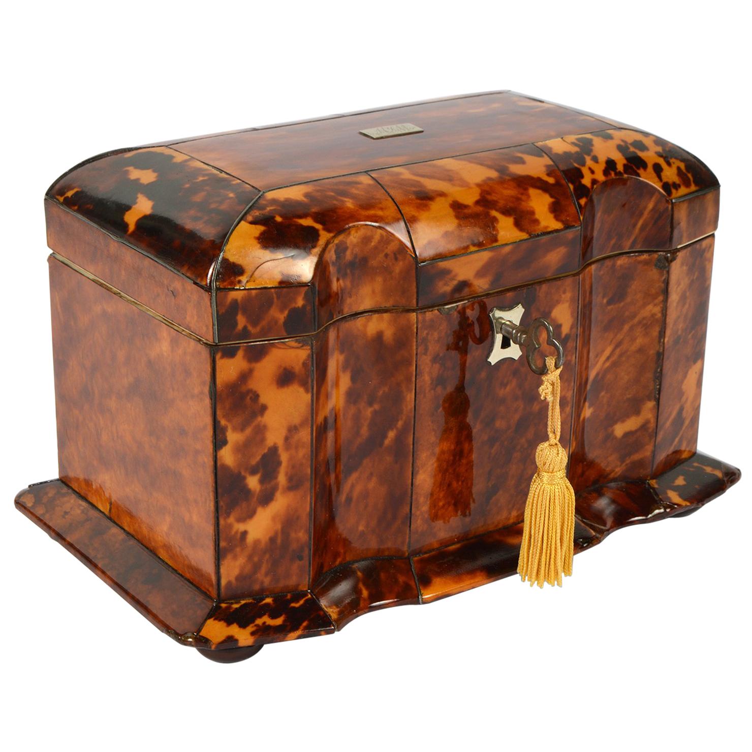 Early 19th Century English Regency Tortoise Shell Shaped Front Tea Caddy