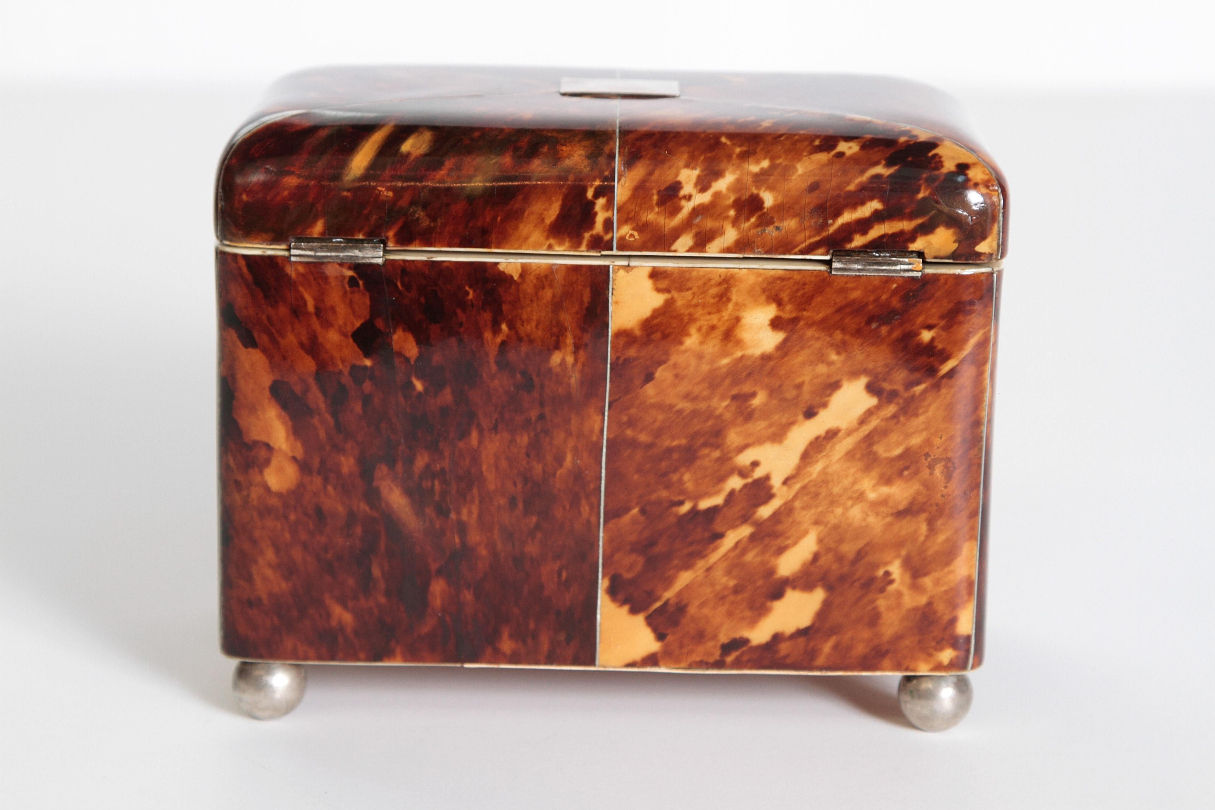 Early 19th Century English Regency Tortoiseshell Tea Caddy 7