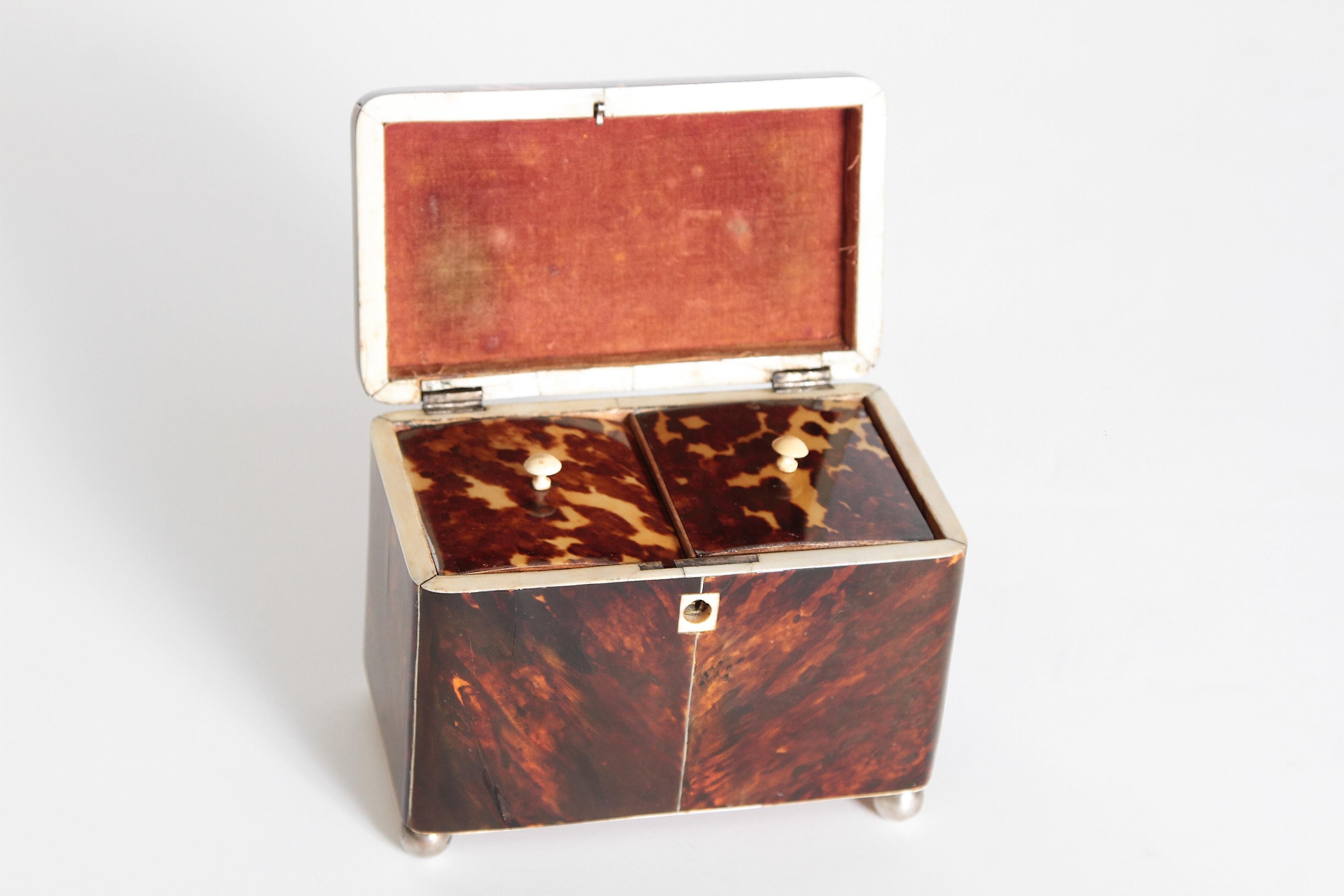 Early 19th Century English Regency Tortoiseshell Tea Caddy 8