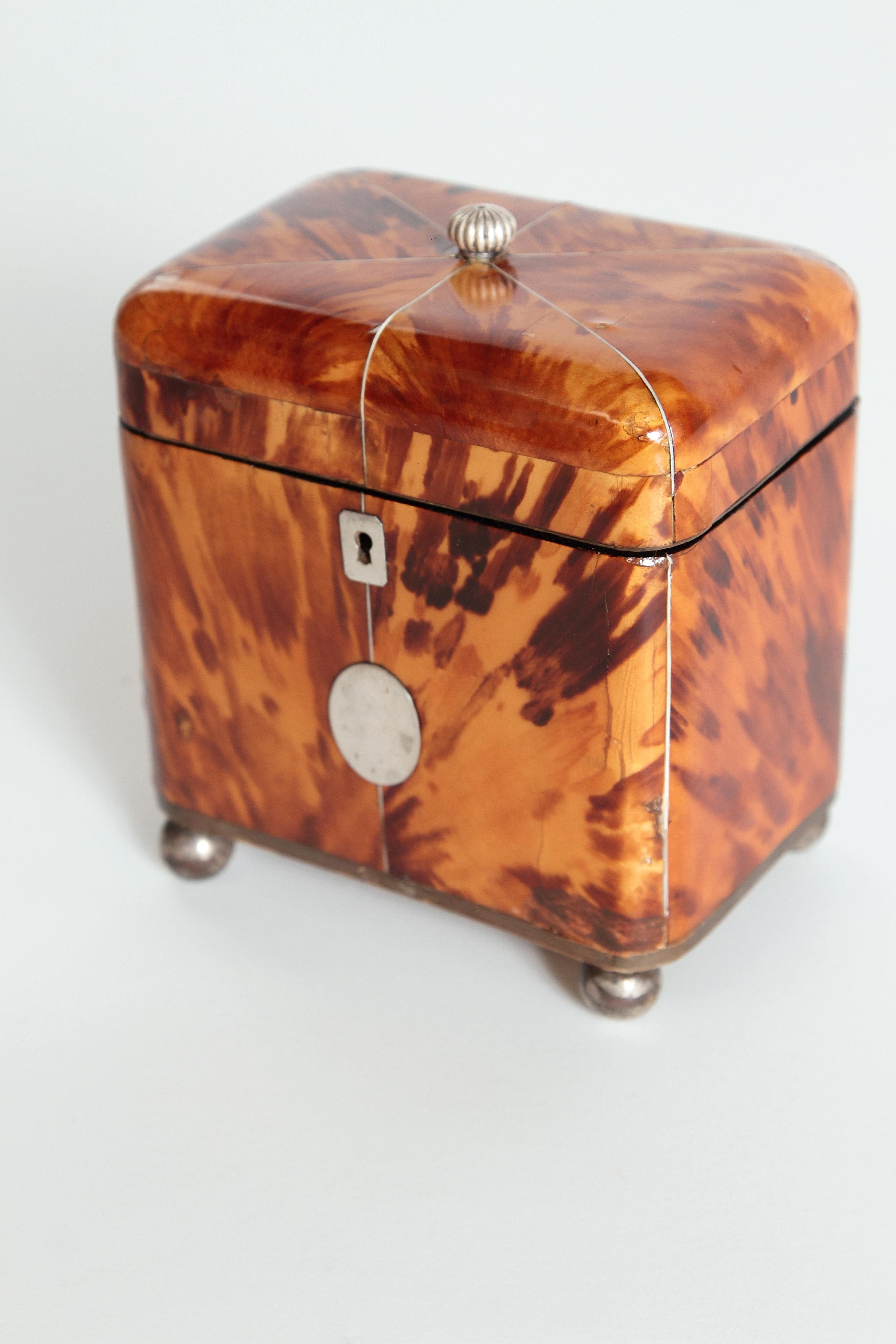 A English Regency tortoiseshell tea caddy with a domed lid containing a silver final pull, silver key hole escutcheon and oval silver plaque. There is one interior compartment with a lid and the box sits on bun feet.