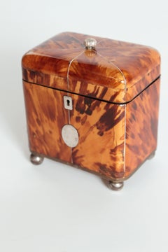 Early 19th Century English Regency Tortoiseshell Tea Caddy