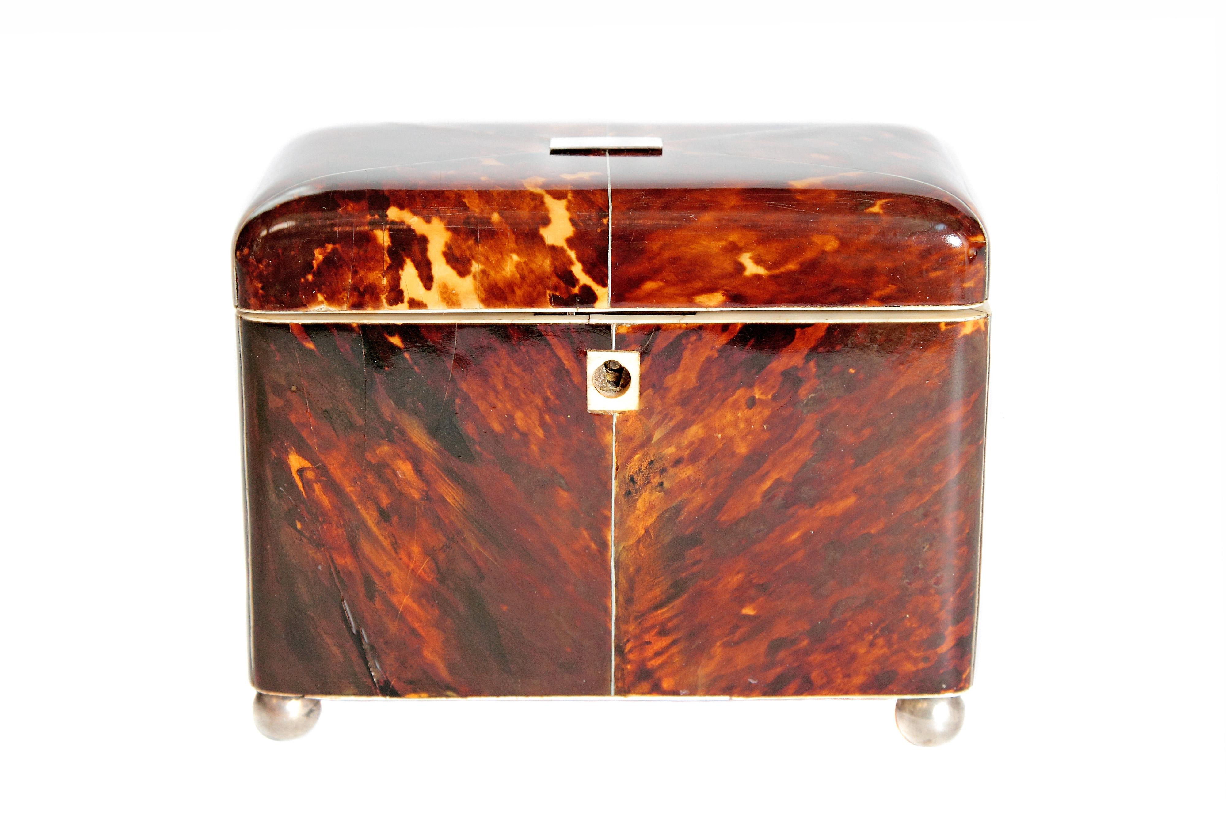 Early 19th Century English Regency Tortoiseshell Tea Caddy In Good Condition In Dallas, TX