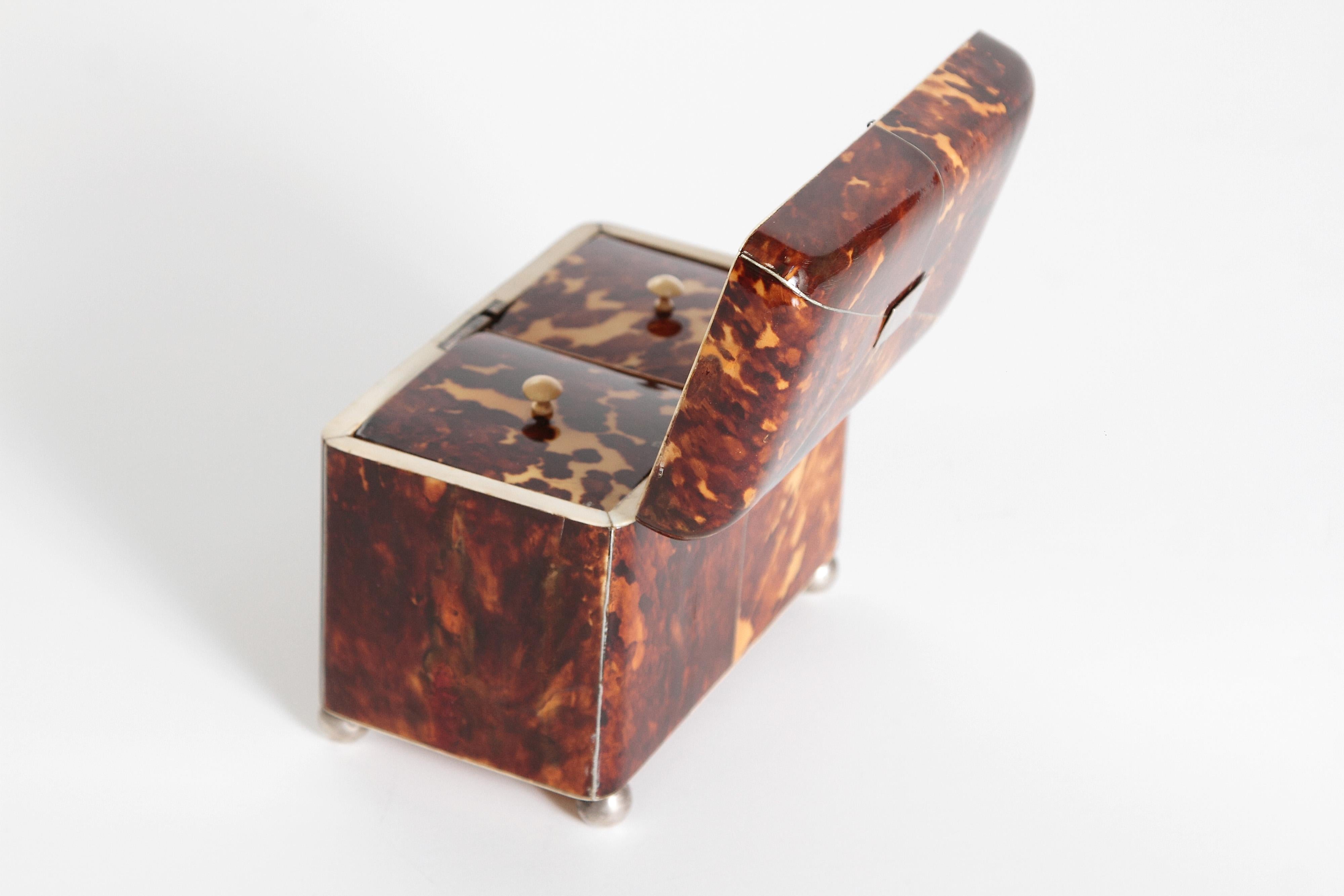 Early 19th Century English Regency Tortoiseshell Tea Caddy 3