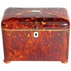 Early 19th Century English Regency Tortoiseshell Tea Caddy