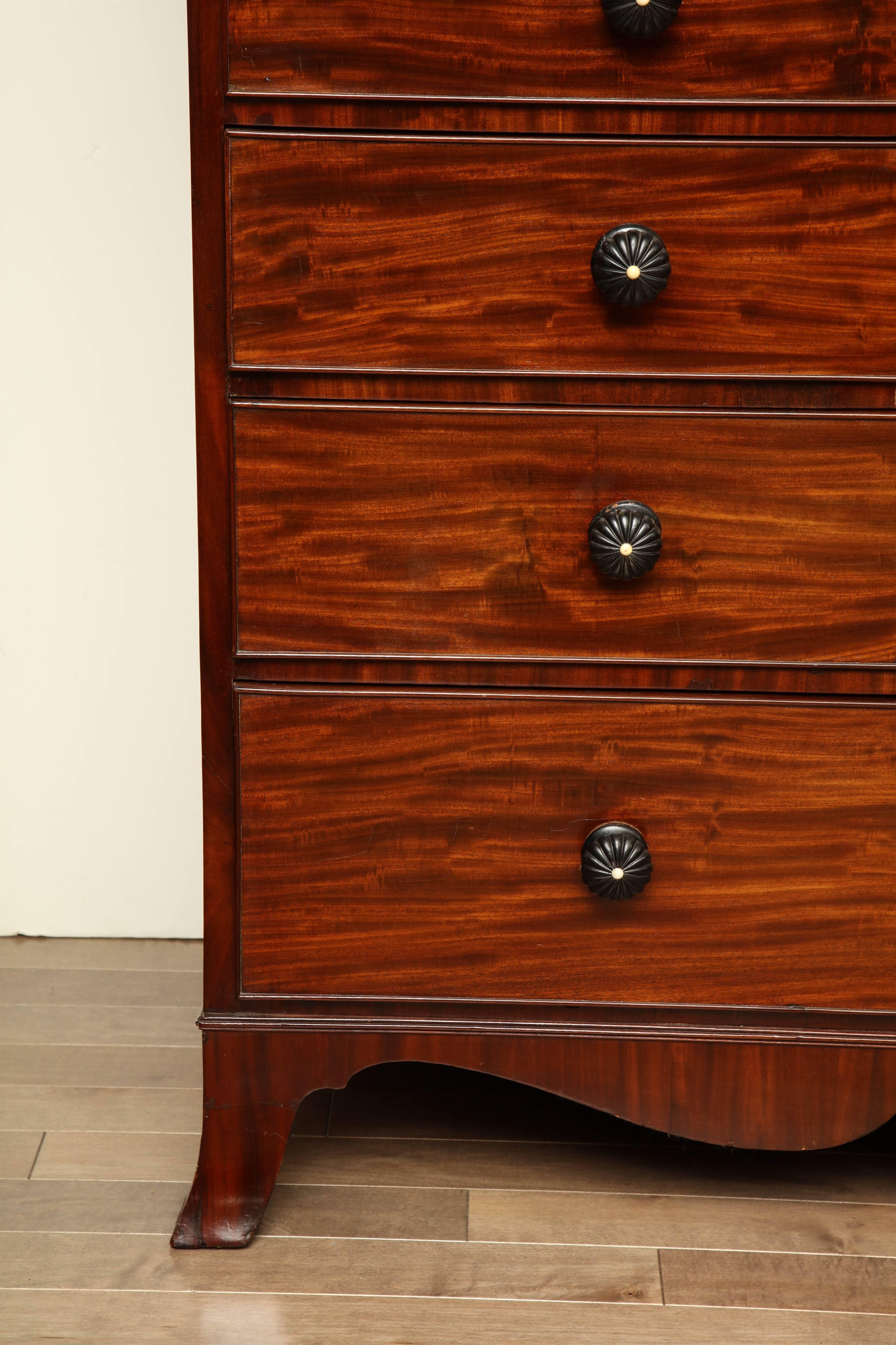 Early 19th Century English Regency, Mahogany Chest of Drawers 1
