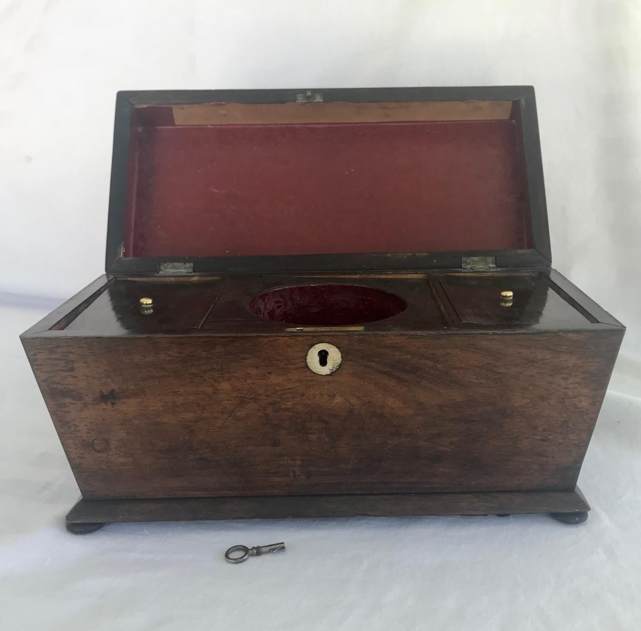 Early 19th century English rosewood tea caddy

This beautiful and large rosewood tea caddy has a sarcophagus shaped body and pyramid shaped lid. The fitted interior is comprised of 2 tea compartments with button knobbed lids. The box is