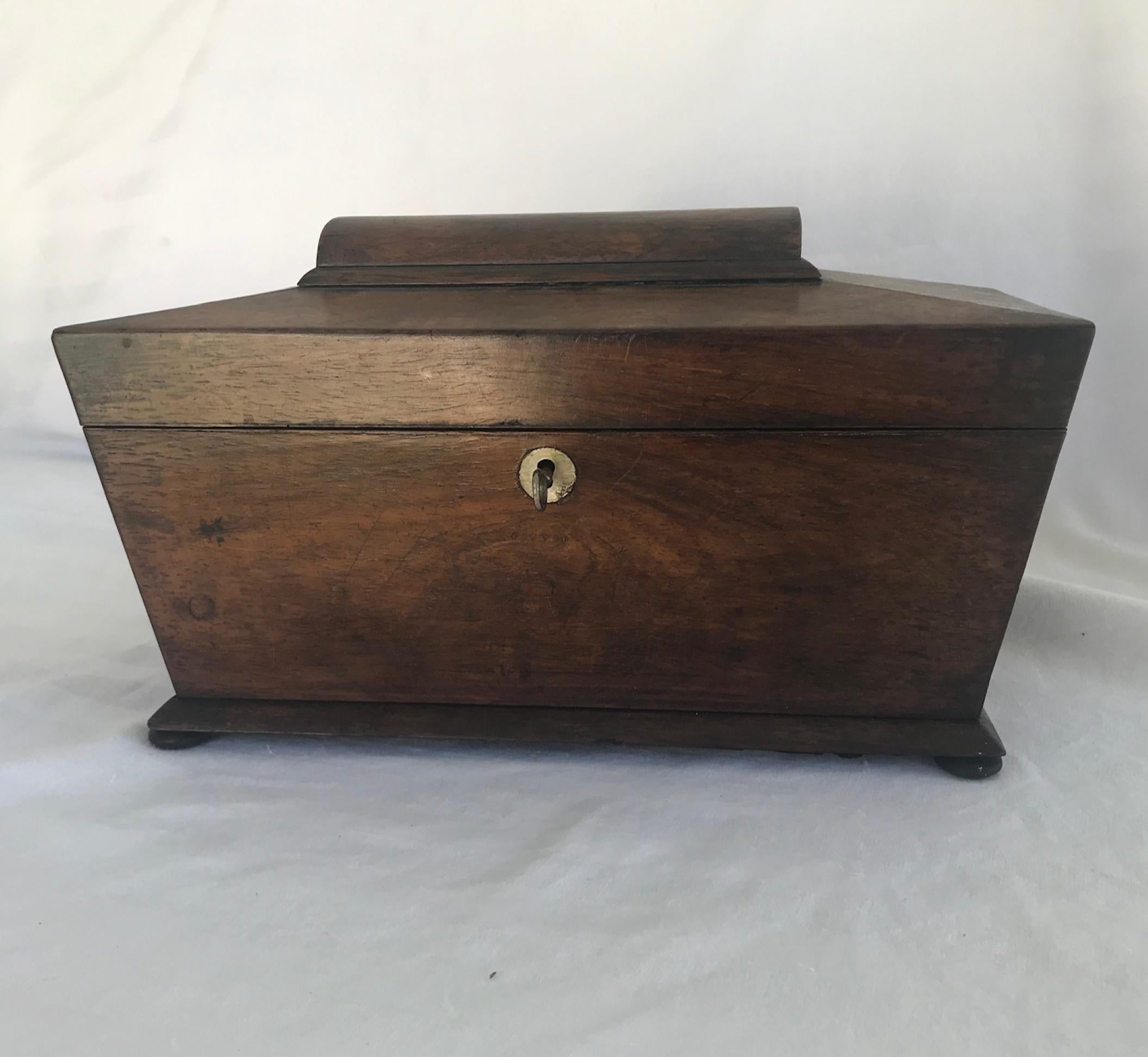 Regency Early 19th Century English Rosewood Tea Caddy