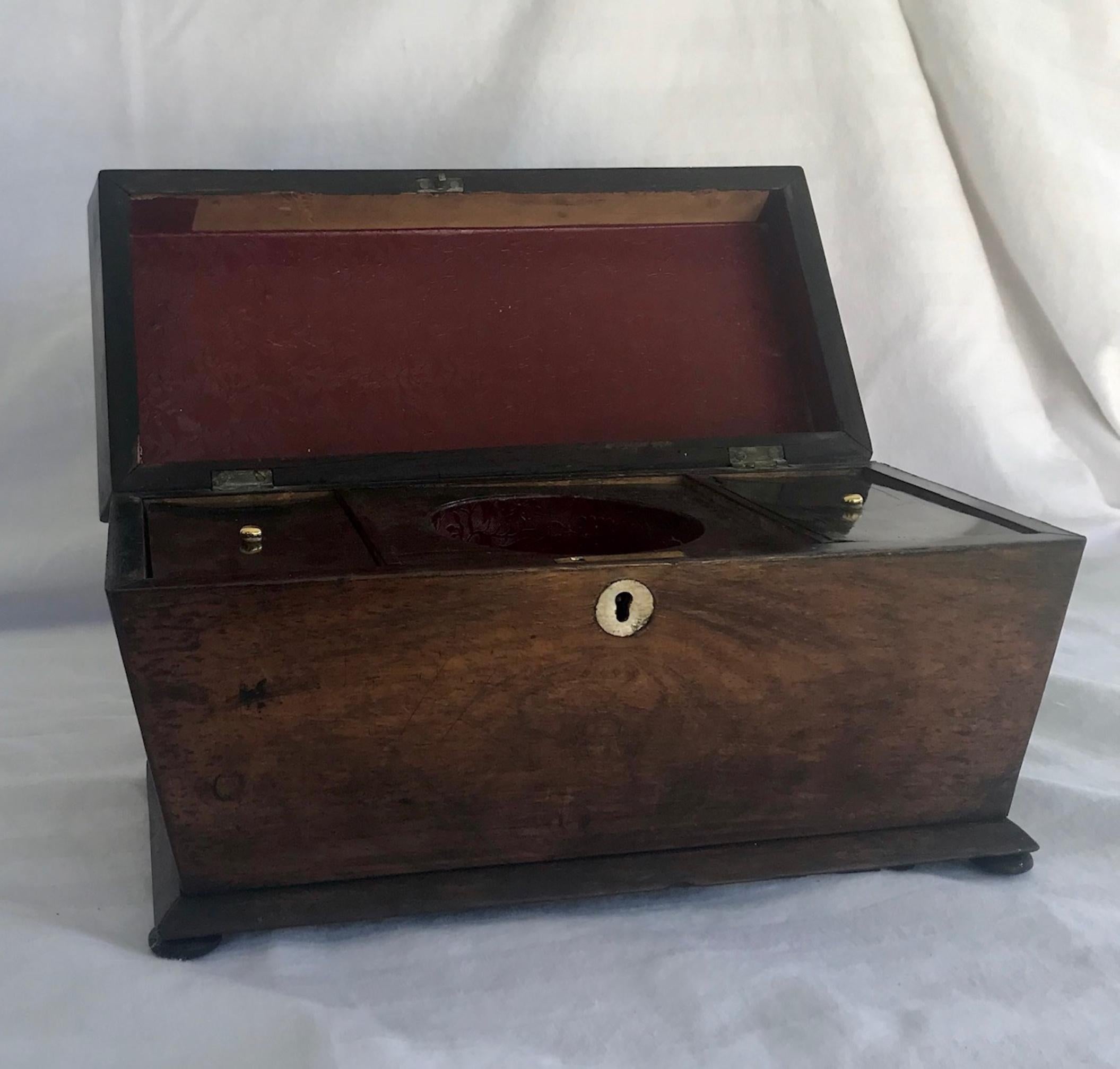 Woodwork Early 19th Century English Rosewood Tea Caddy