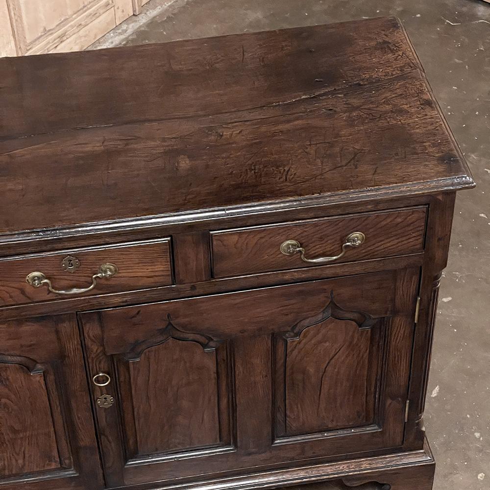 Early 19th Century English Sideboard ~ Credenza For Sale 1