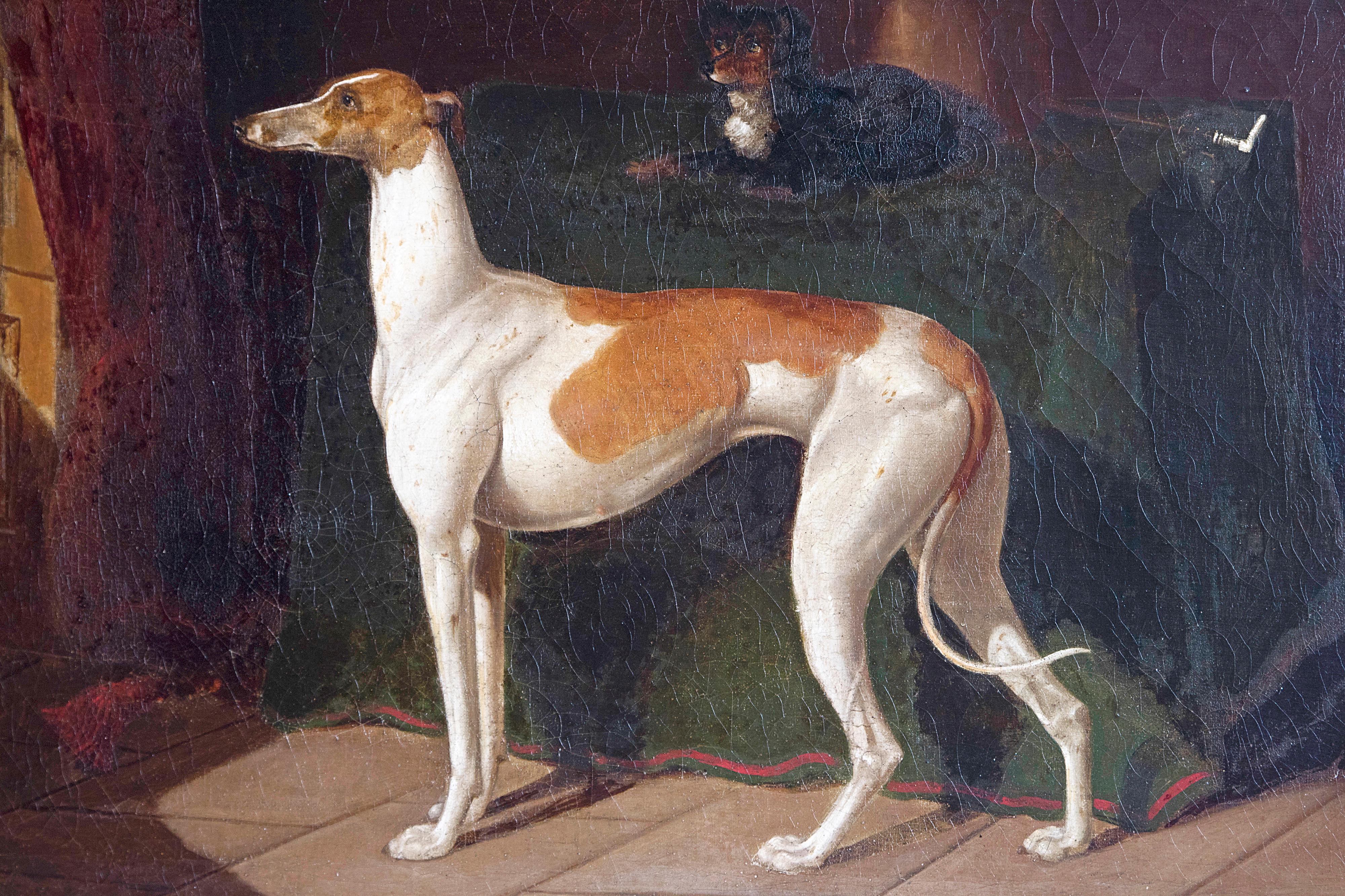 Early 19th Century English Whippet Oil Painting  1