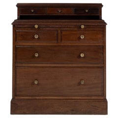 Early 19th Century France Rich Mahogany Mahogany Chest Of Drawers