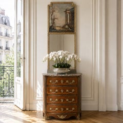 Early 19th Century French Directoire Neoclassical Trumeau Mirror