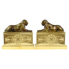 Andirons ou chenets en bronze doré Empire du début du 19e siècle à figures de lionnes
