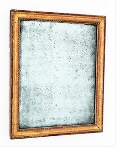 Early 19th Century French Empire Parcel-Gilt Carved Rectangular Mirror