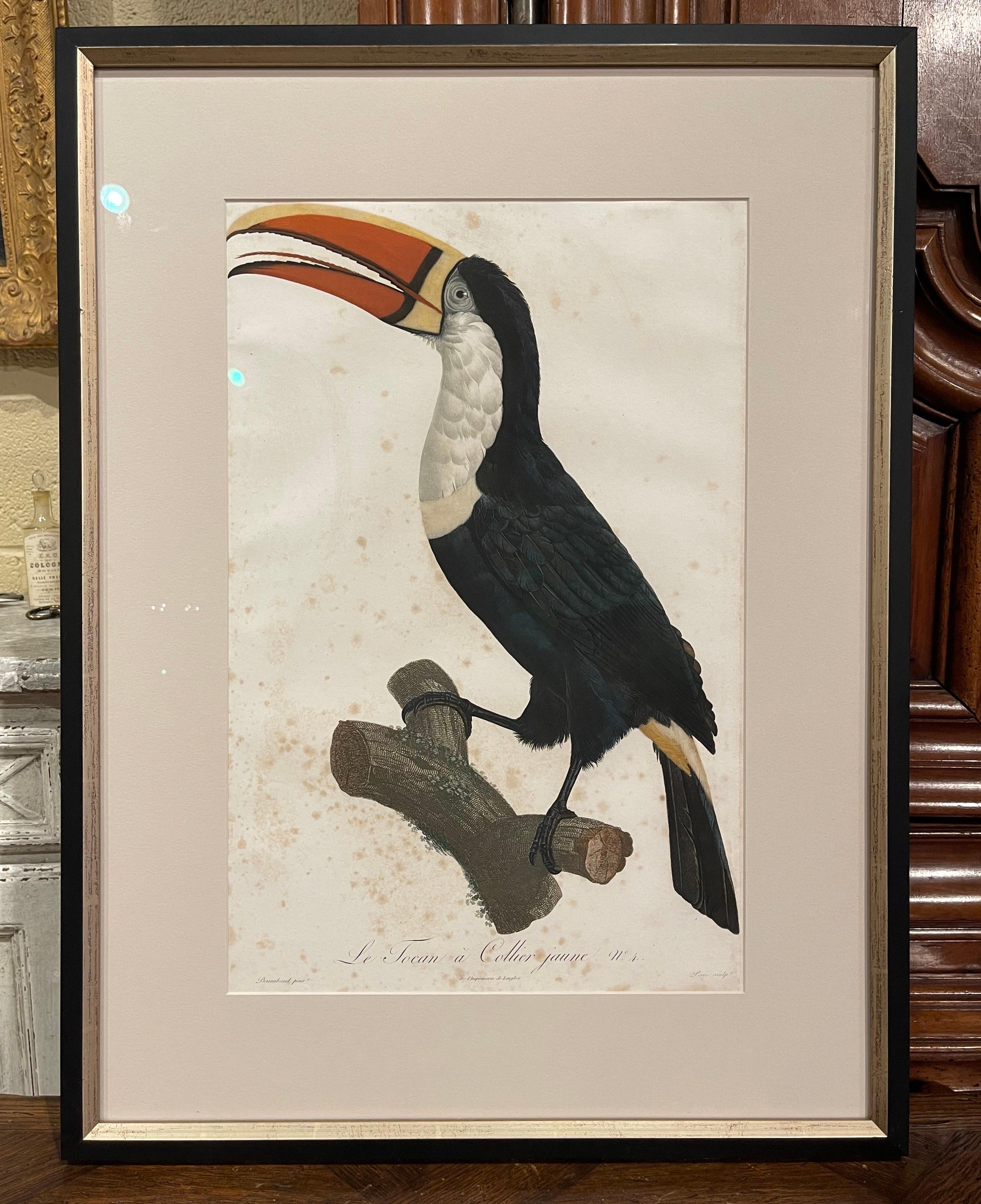 Early 19th Century French Hand Colored Toucan Engravings by Barraband, Set of 5 9