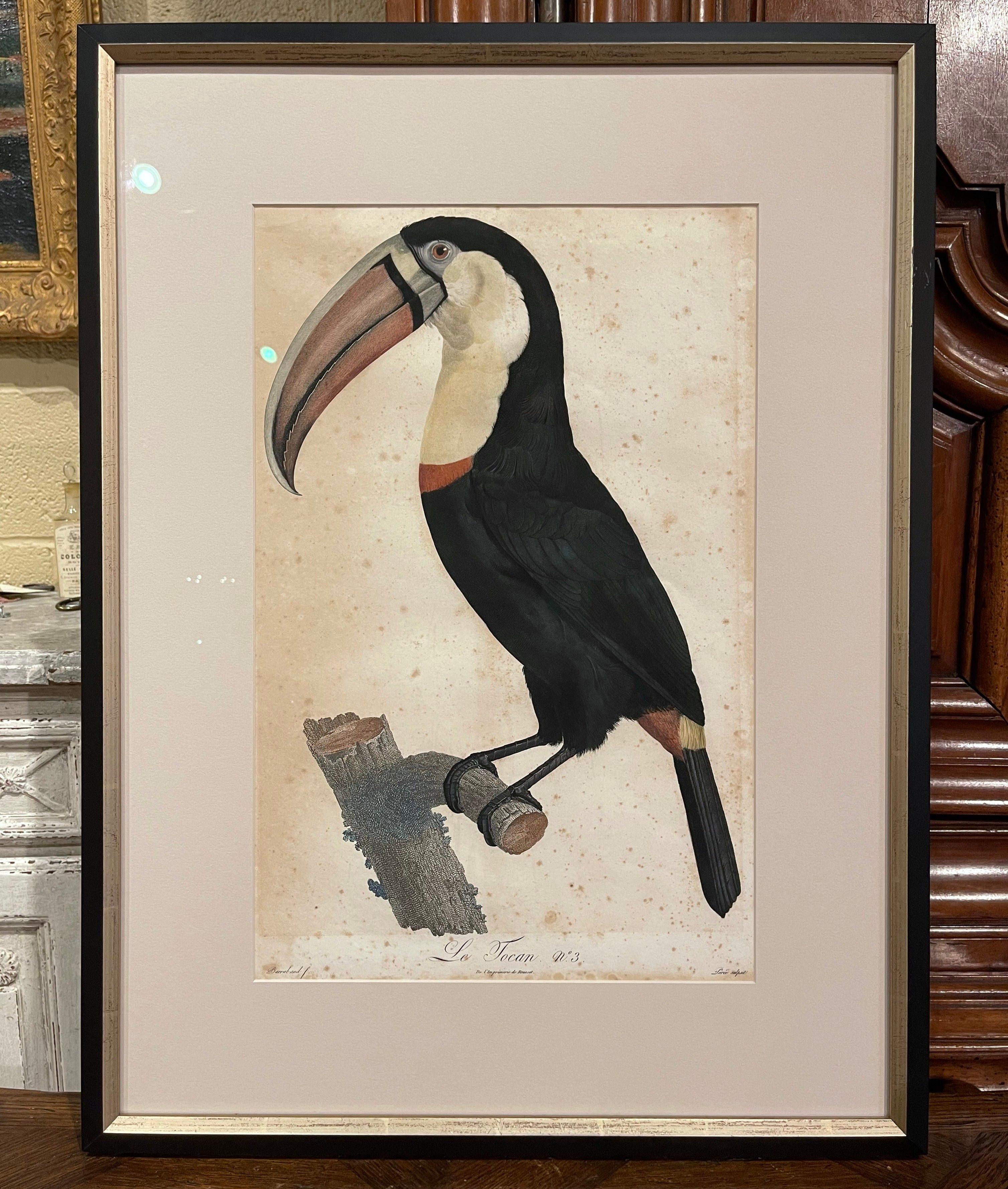 Early 19th Century French Hand Colored Toucan Engravings by Barraband, Set of 5 12