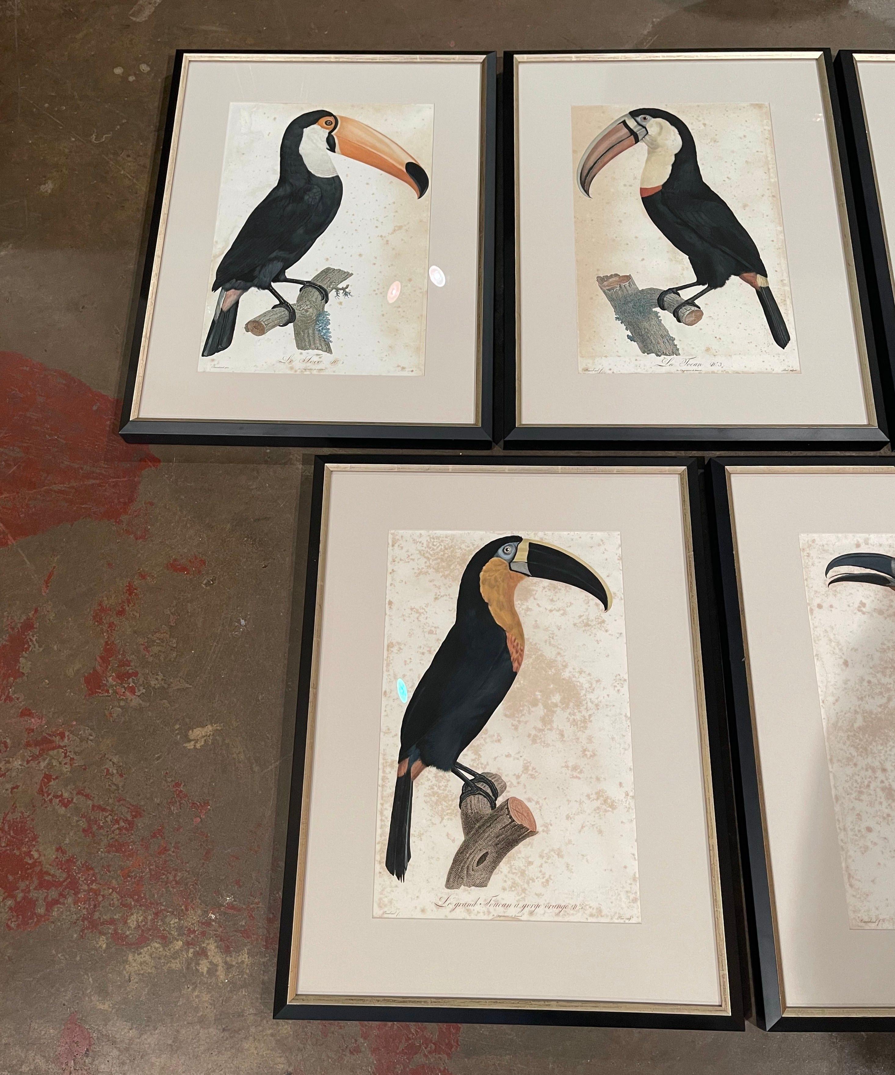 Decorate a study or office this colorful suite of antique toucan etchings by Jacques Barraband. Created in France circa 1801-1804, each drawing depicts a parrot resting on a branch.
Titled 