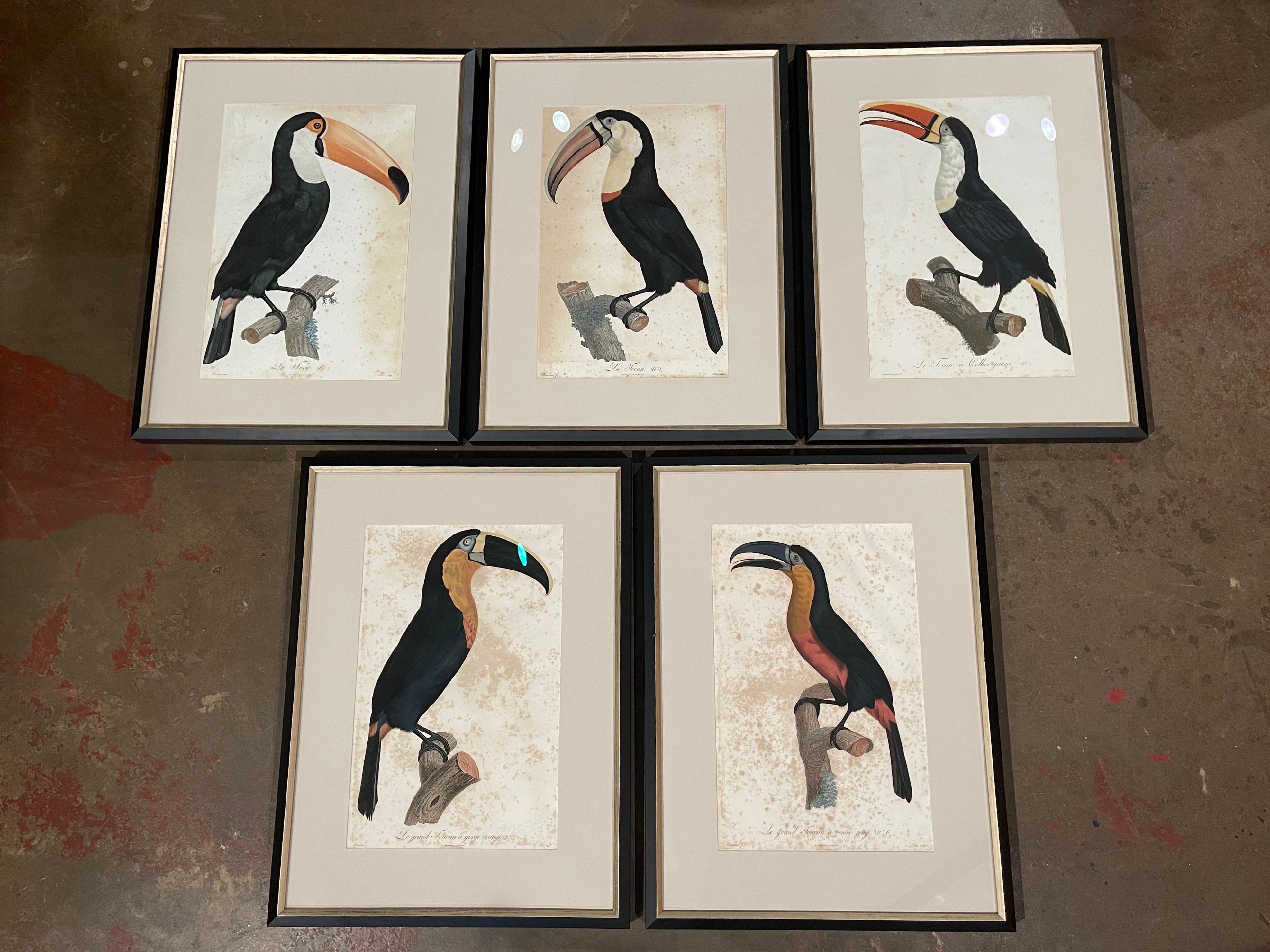 Early 19th Century French Hand Colored Toucan Engravings by Barraband, Set of 5 In Excellent Condition In Dallas, TX