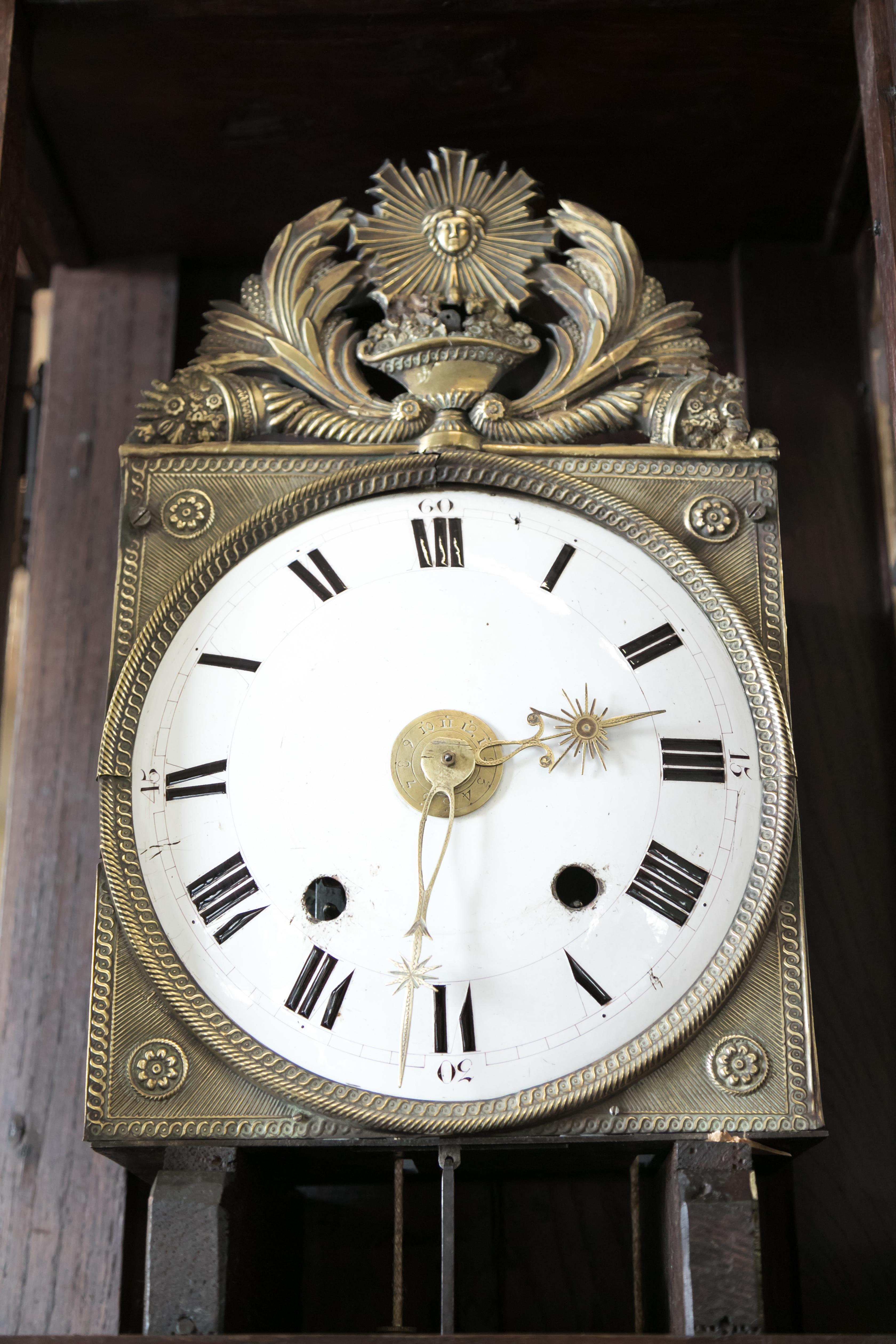 Early 19th Century French Louis XVI Style Longcase Clock 2