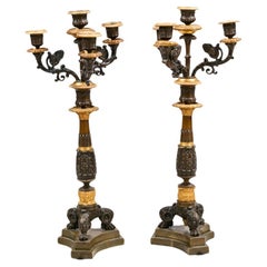 Early 19th Century French Regency Pair of Bronze Ormolu Candelabras