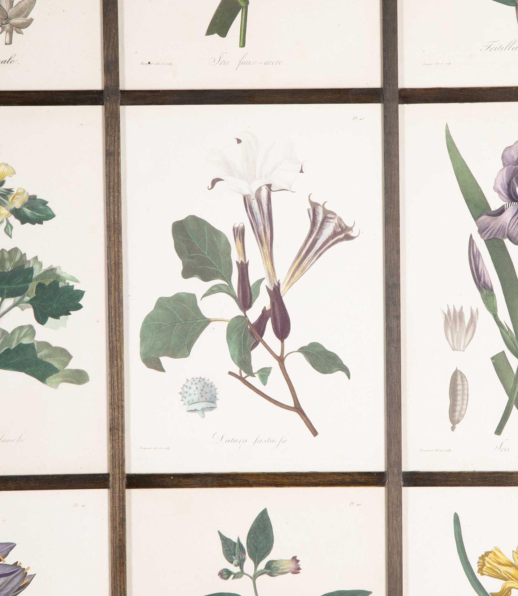 Early 19th Century French Roques Botanical Engravings (Land) im Angebot