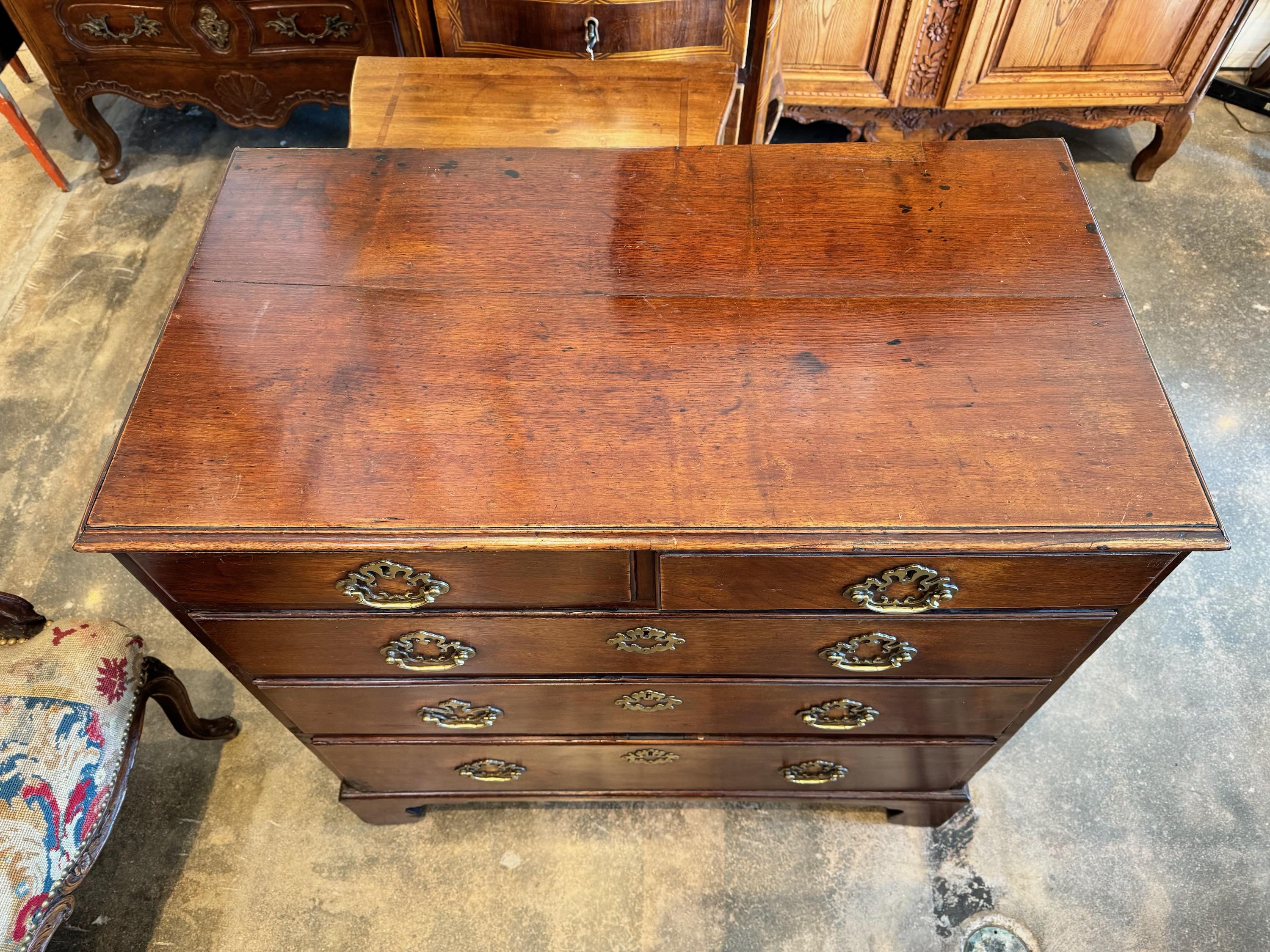 Early 19th Century George III Mahogany Chest For Sale 2