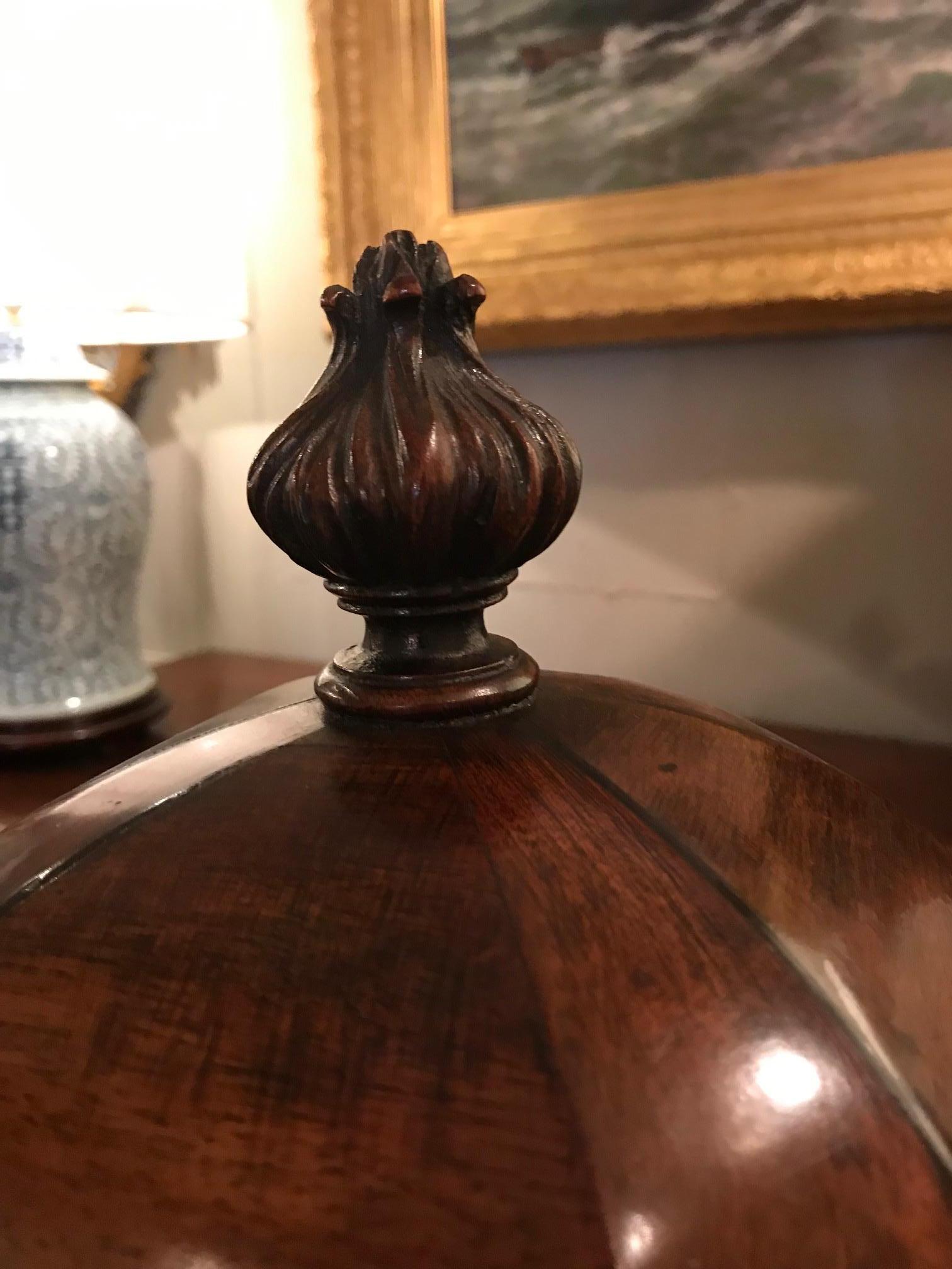 Early 19th Century George III Pair of Mahogany Knife Urns For Sale 2