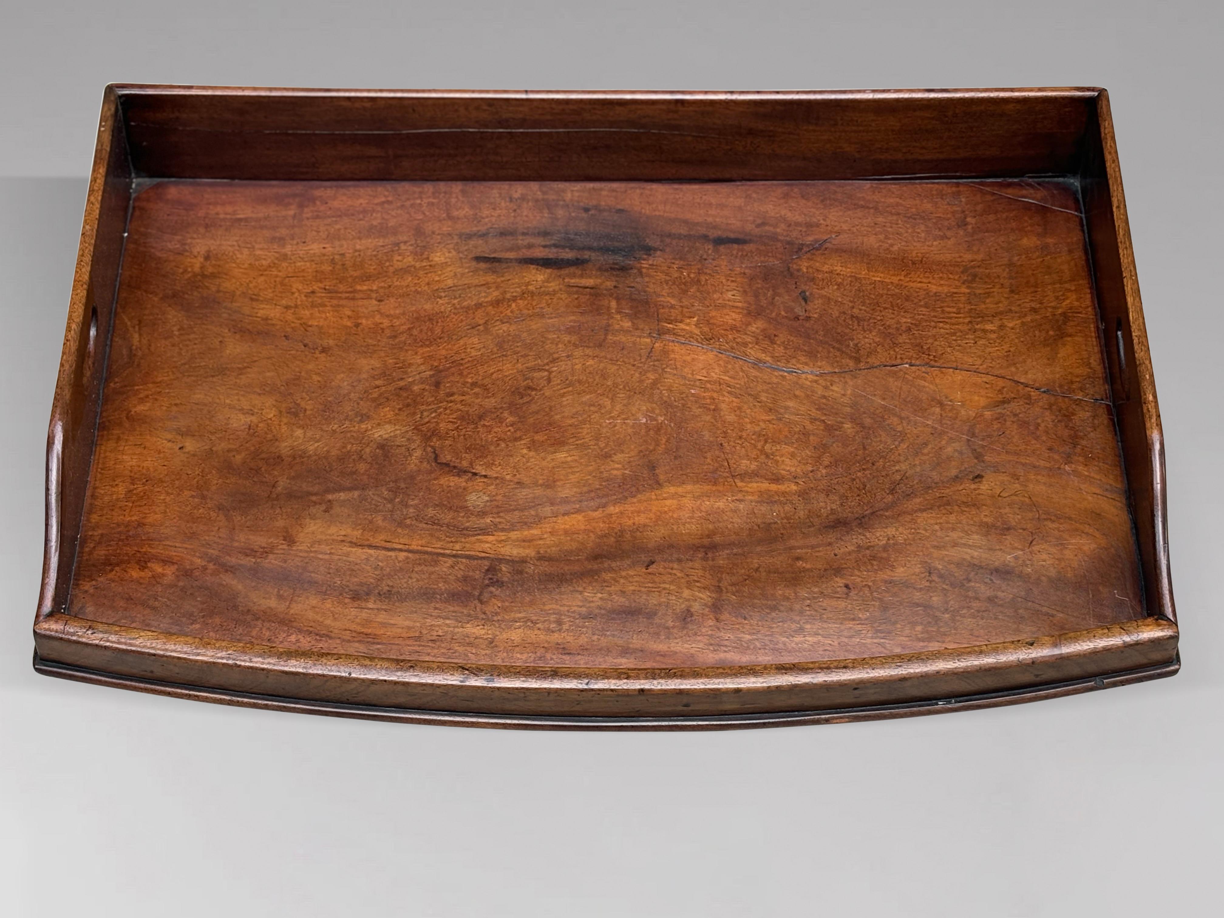 Early 19th Century George III Period Military Campaign Butlers Tray on Stand 5