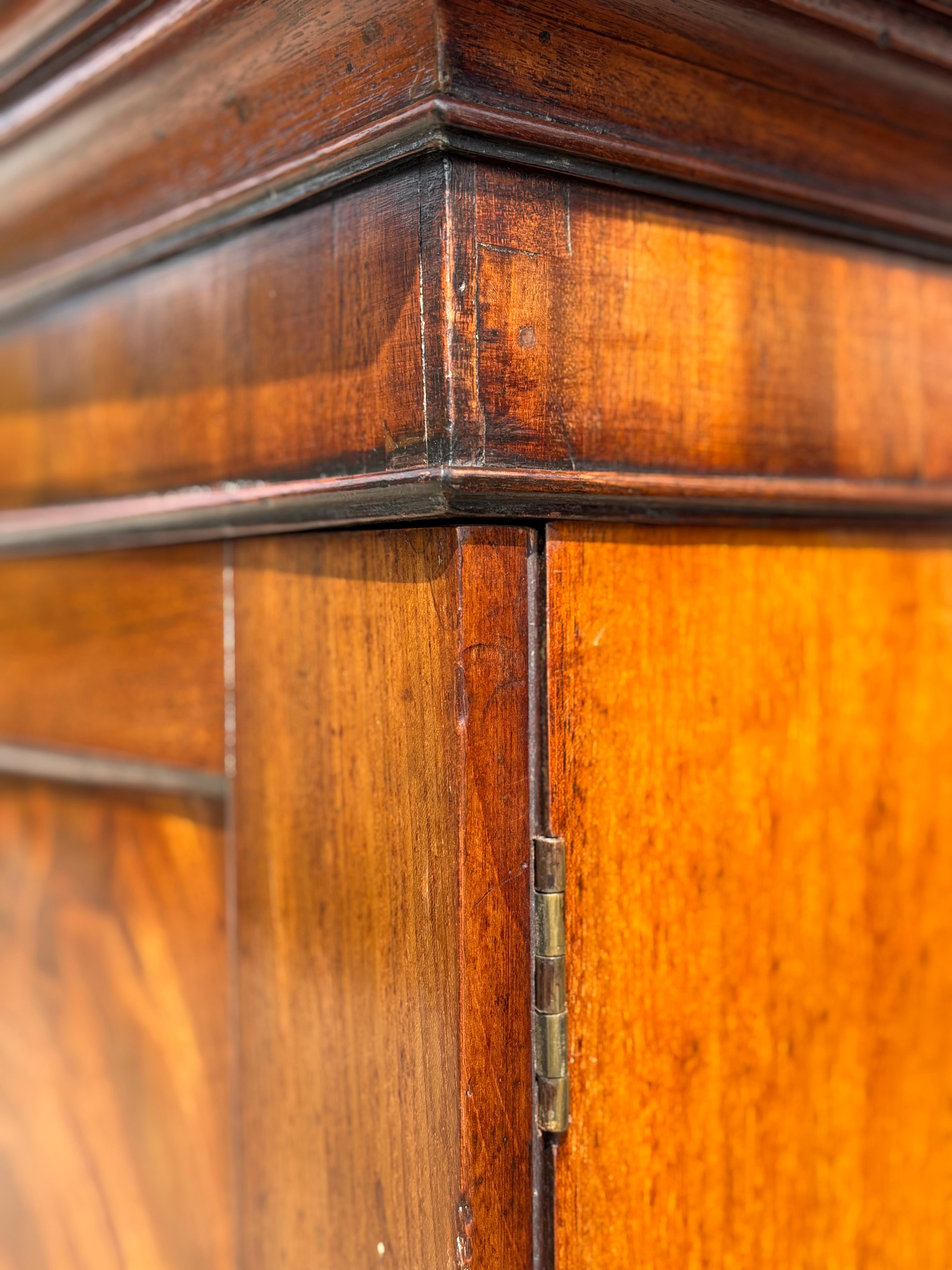 Early 19th Century George IV Period Mahogany Wardrobe For Sale 4